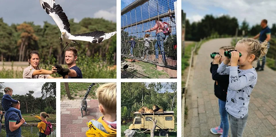 Geonius organiseert eerste Geonius Familiedag voor collega's