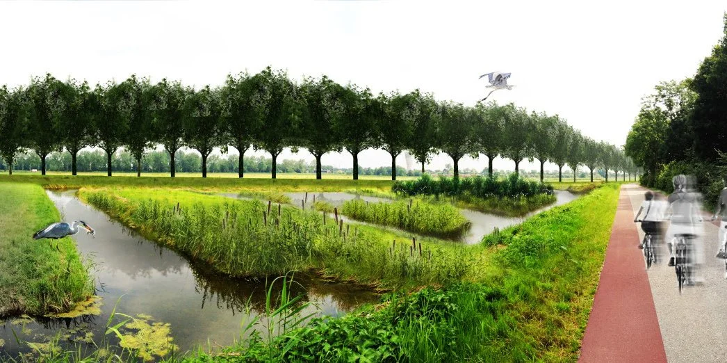 Ontwerper water/natuur