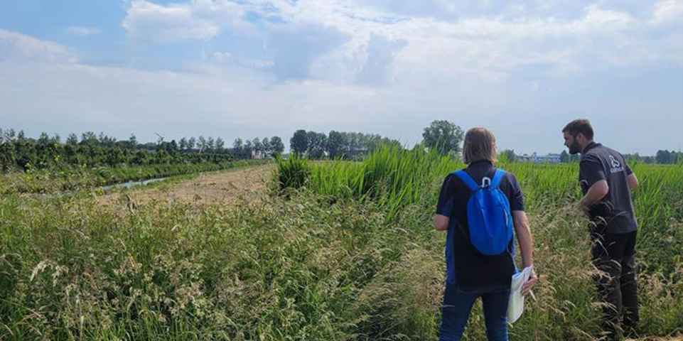 Twee mensen wandelen door een groen veld met hoge gewassen, onder een deels bewolkte hemel.