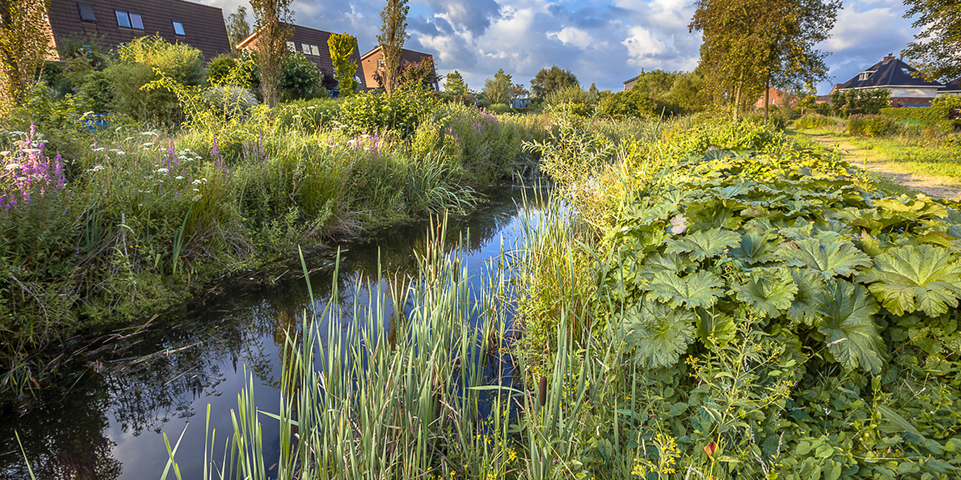 Senior ecoloog - Houten