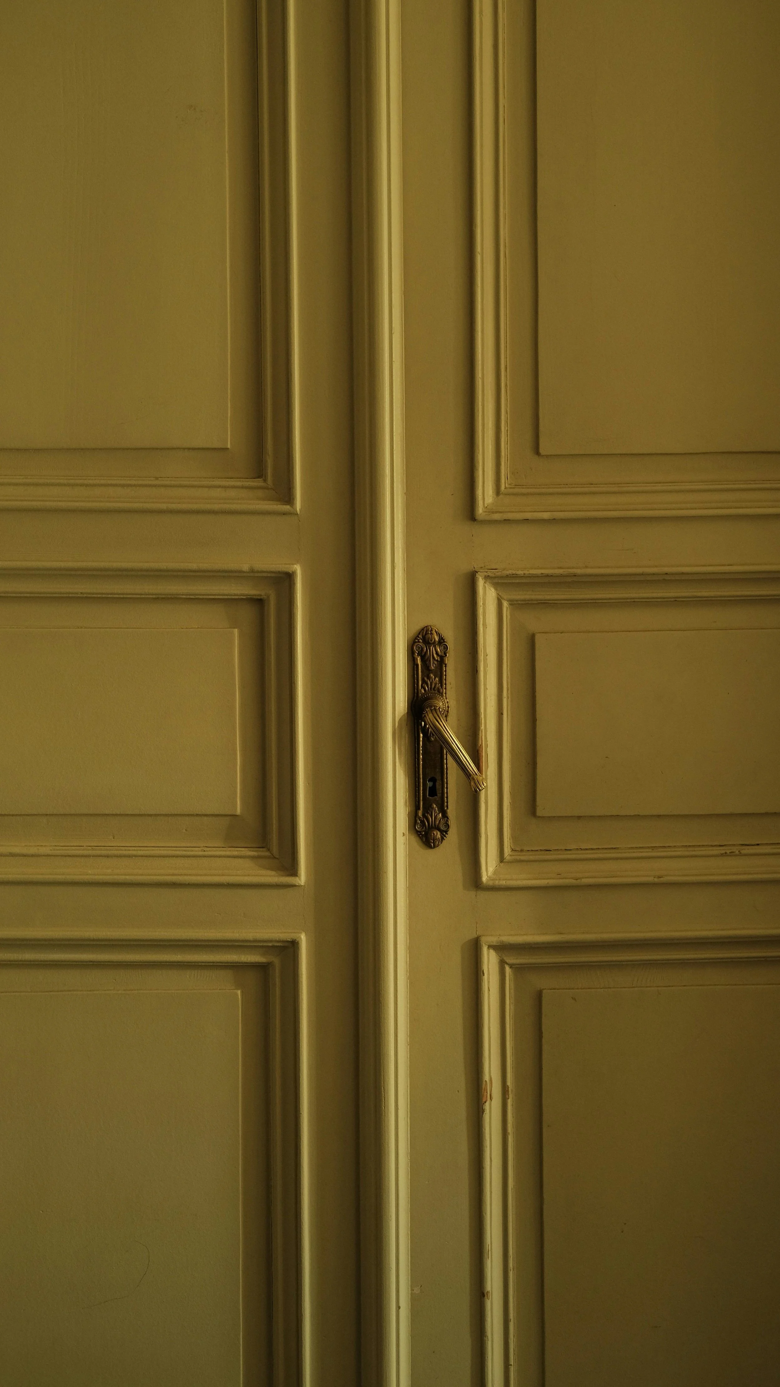 Hintertür mit grünlicher lackierter Holzoberfläche, verziertes Messingschloss und -griff, klassische Paneelmuster.