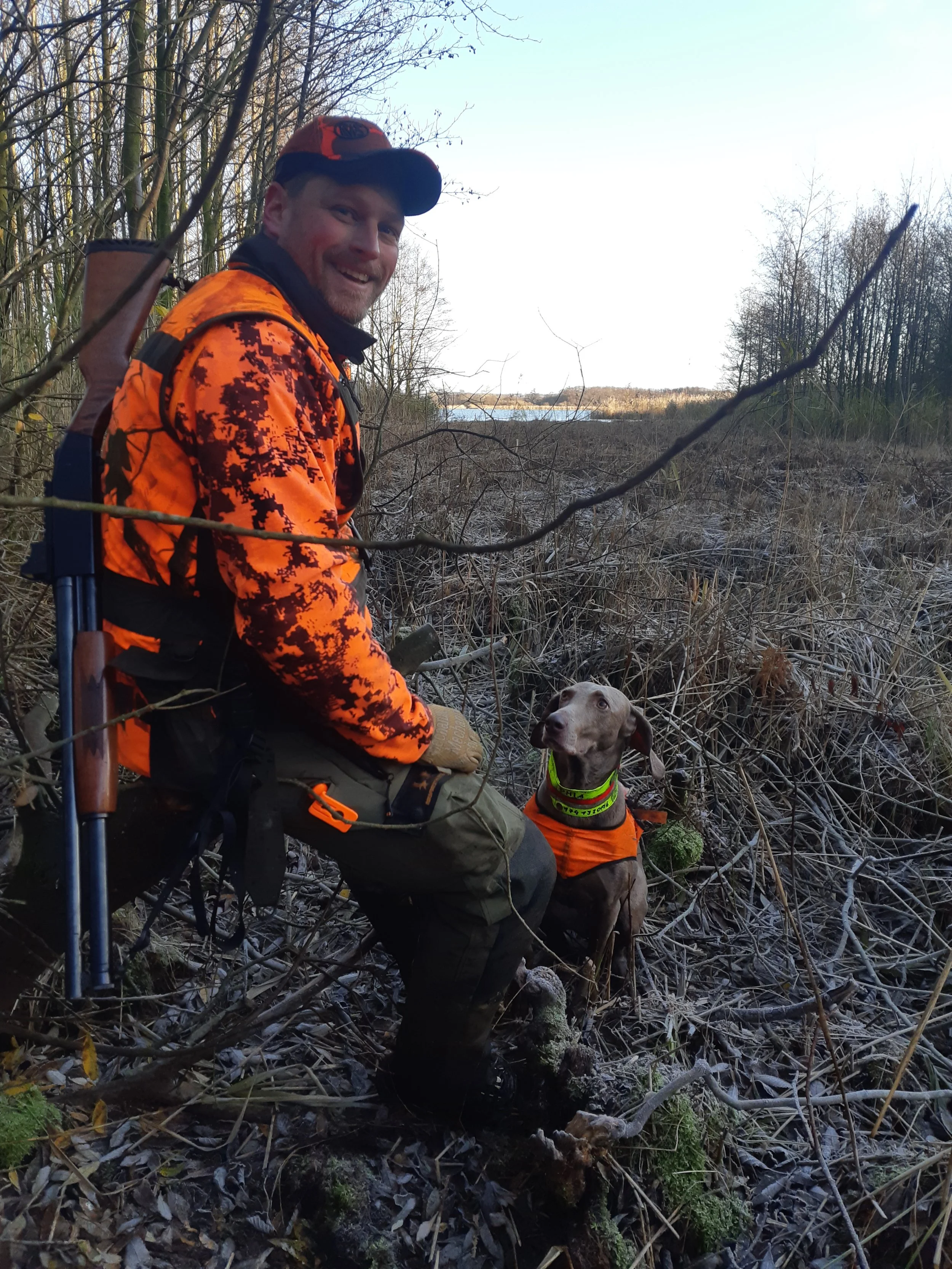 Keno bei der Drückjagd als Treiber und Hundeführer mit seinem Weimaraner