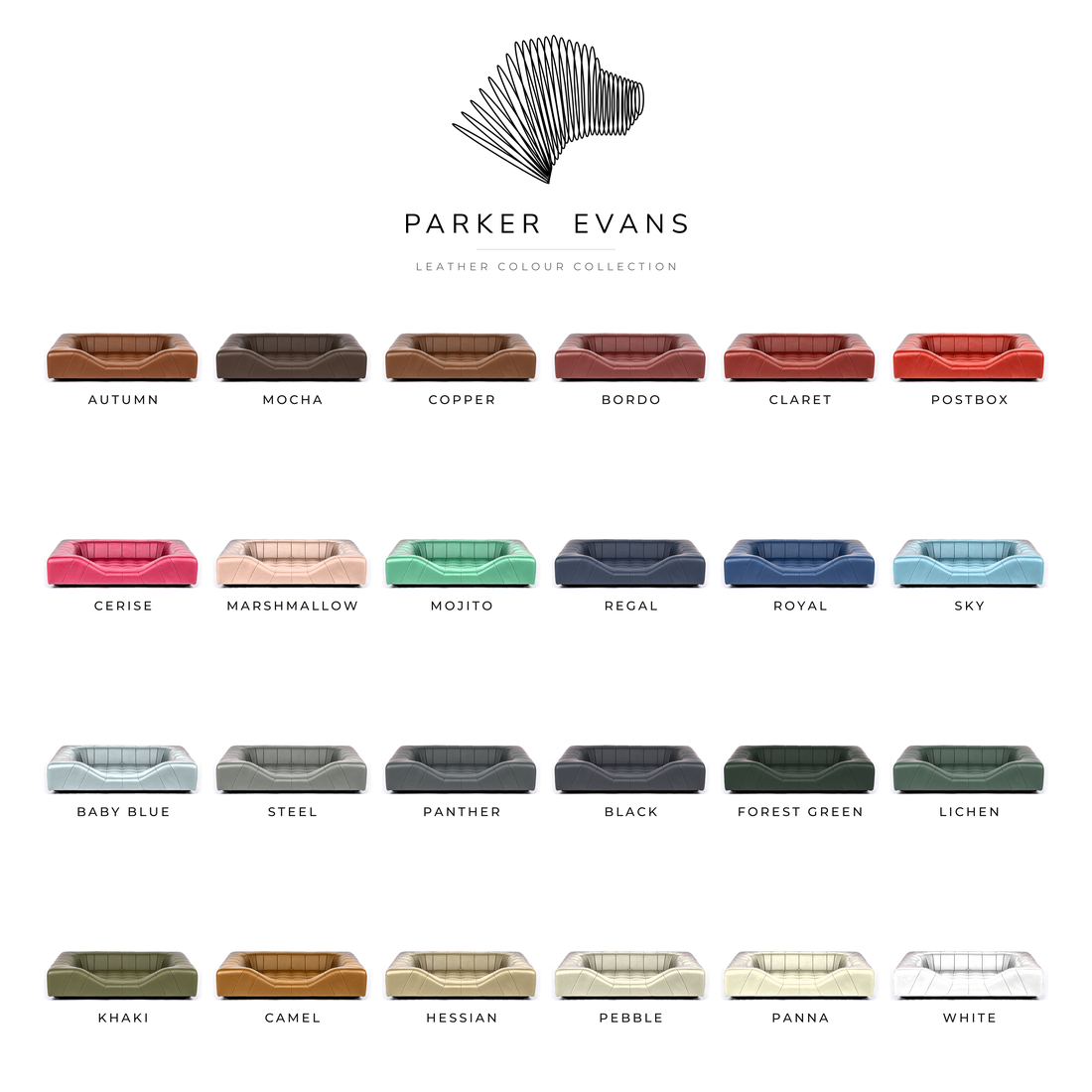 parker-evans-statesman-colour-card.png