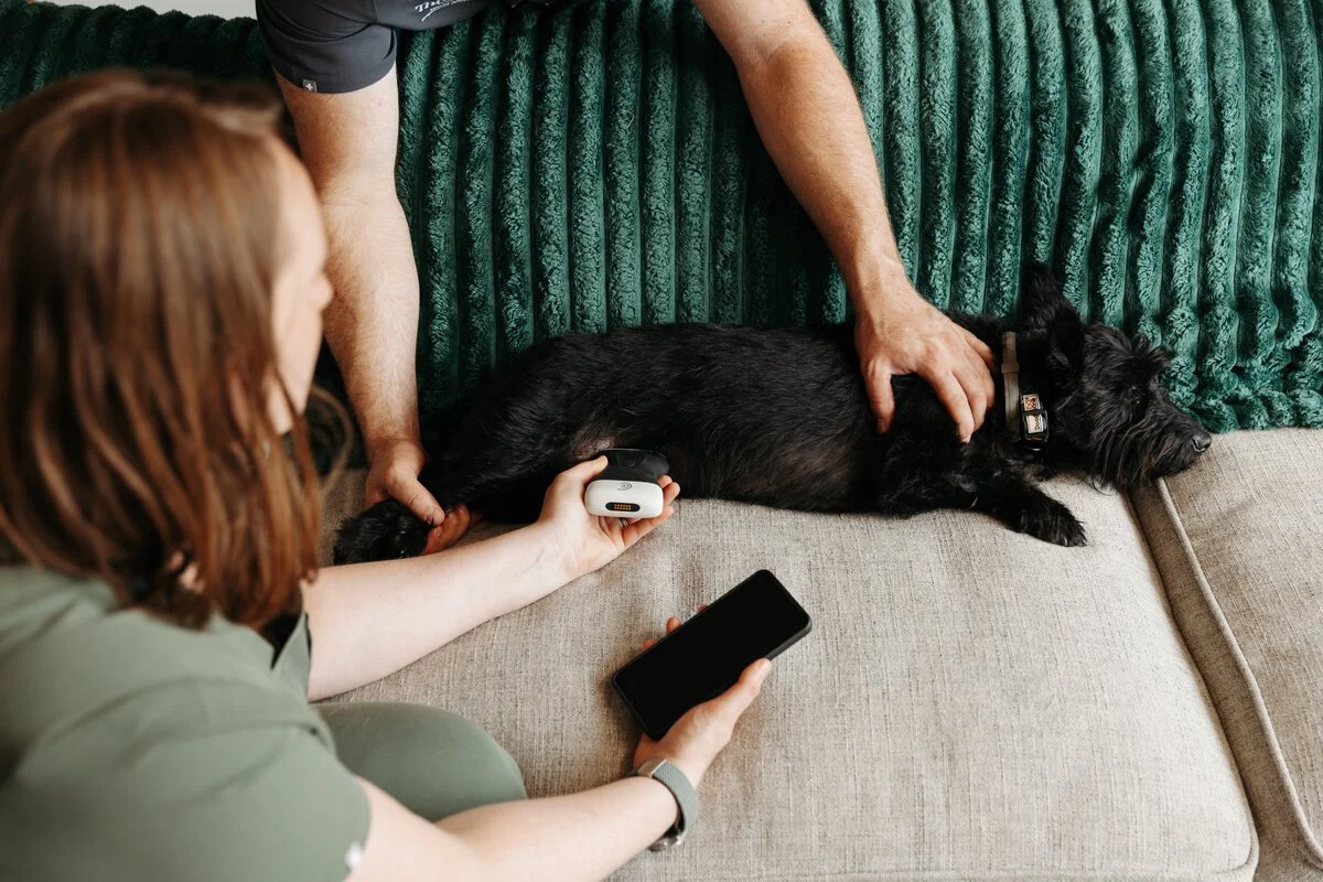A black dog is having an ultrasound from a Rachel, head vet at Throne Vets, holding an ultrasound probe.