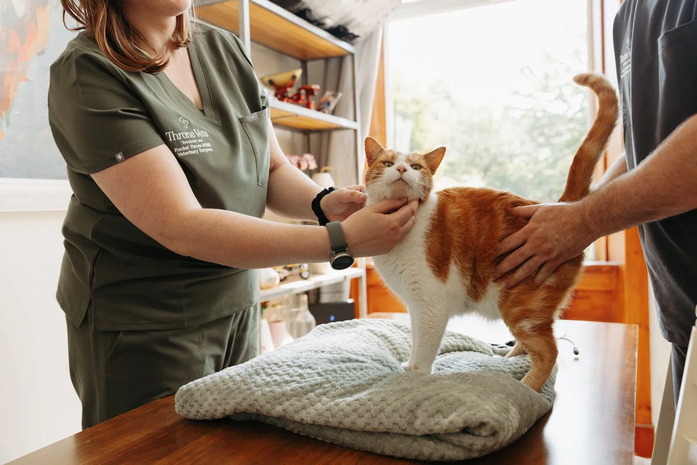 Rachel, head vet at Throne Vets, examines an orange and white cat on a table in a house while a person holds the cat, with a window and shelves in the background.