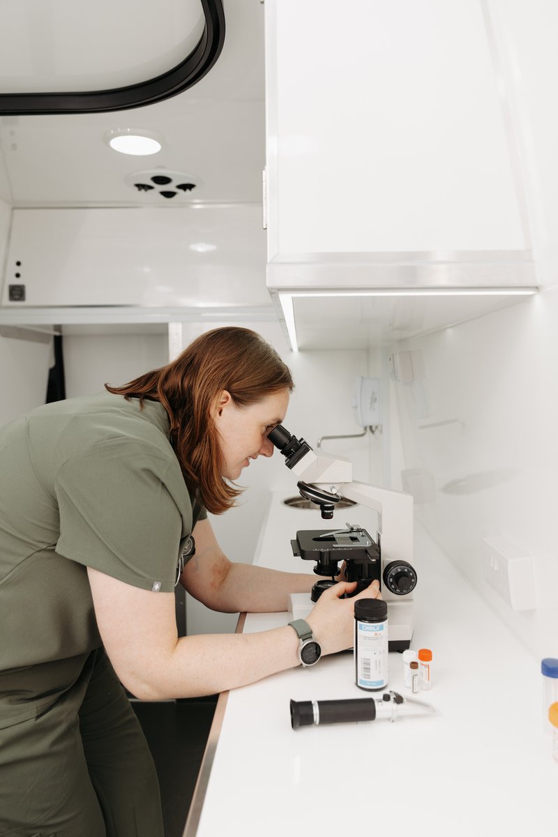 Rachel, head vet from Throne Vets, is reviewing laboratory tests with a microscope in the veterinary mobile clinic vehicle.