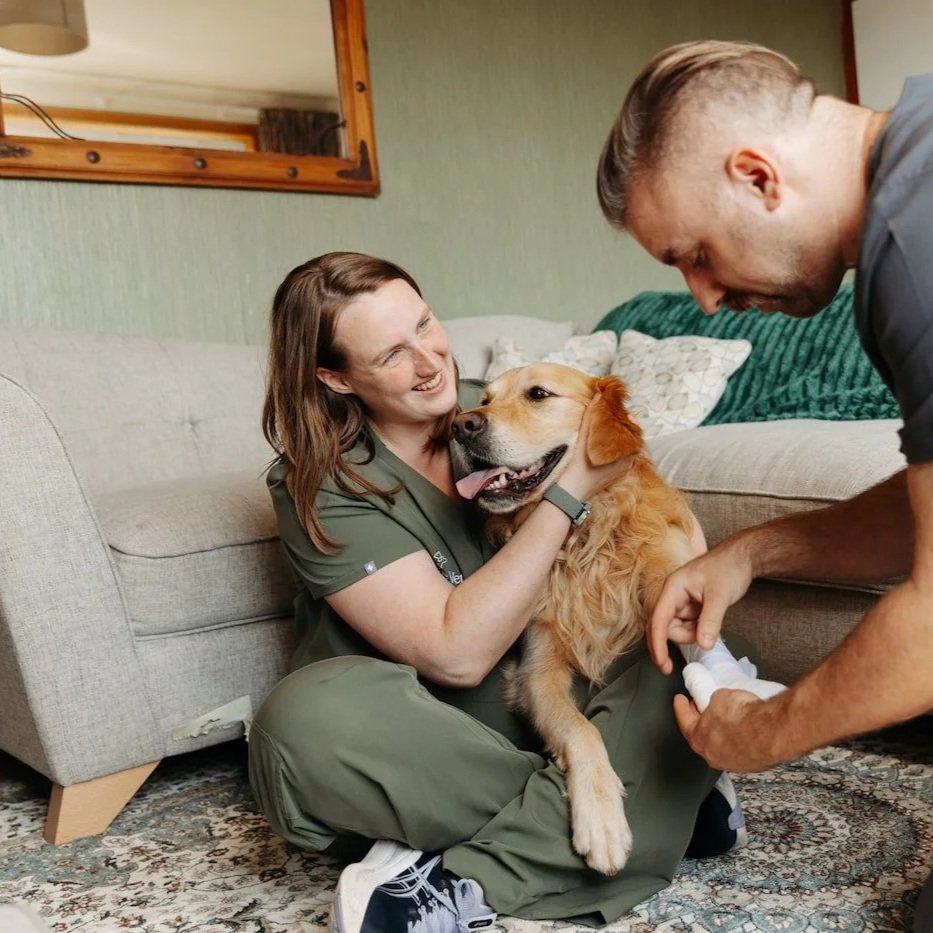 Rachel, head vet at Throne Vets, sitting on the floor with a golden retriever, receiving a bandage from a David, a vet nurse, all inside a living room.