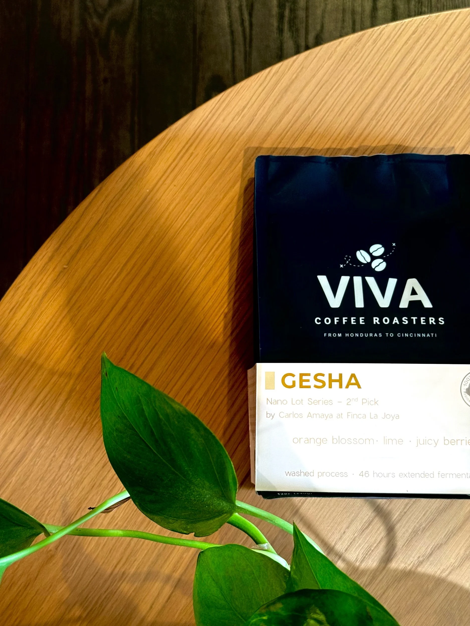 Gesha • Light (Washed)