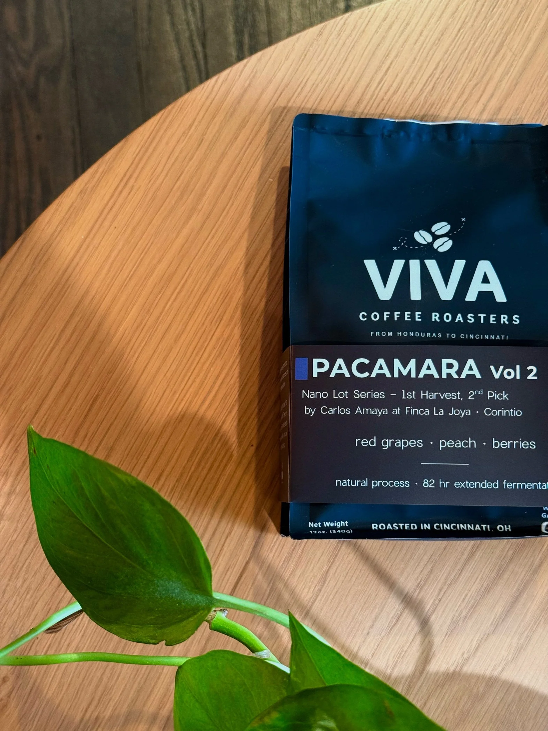 Pacamara Vol 2 • Light (Natural)