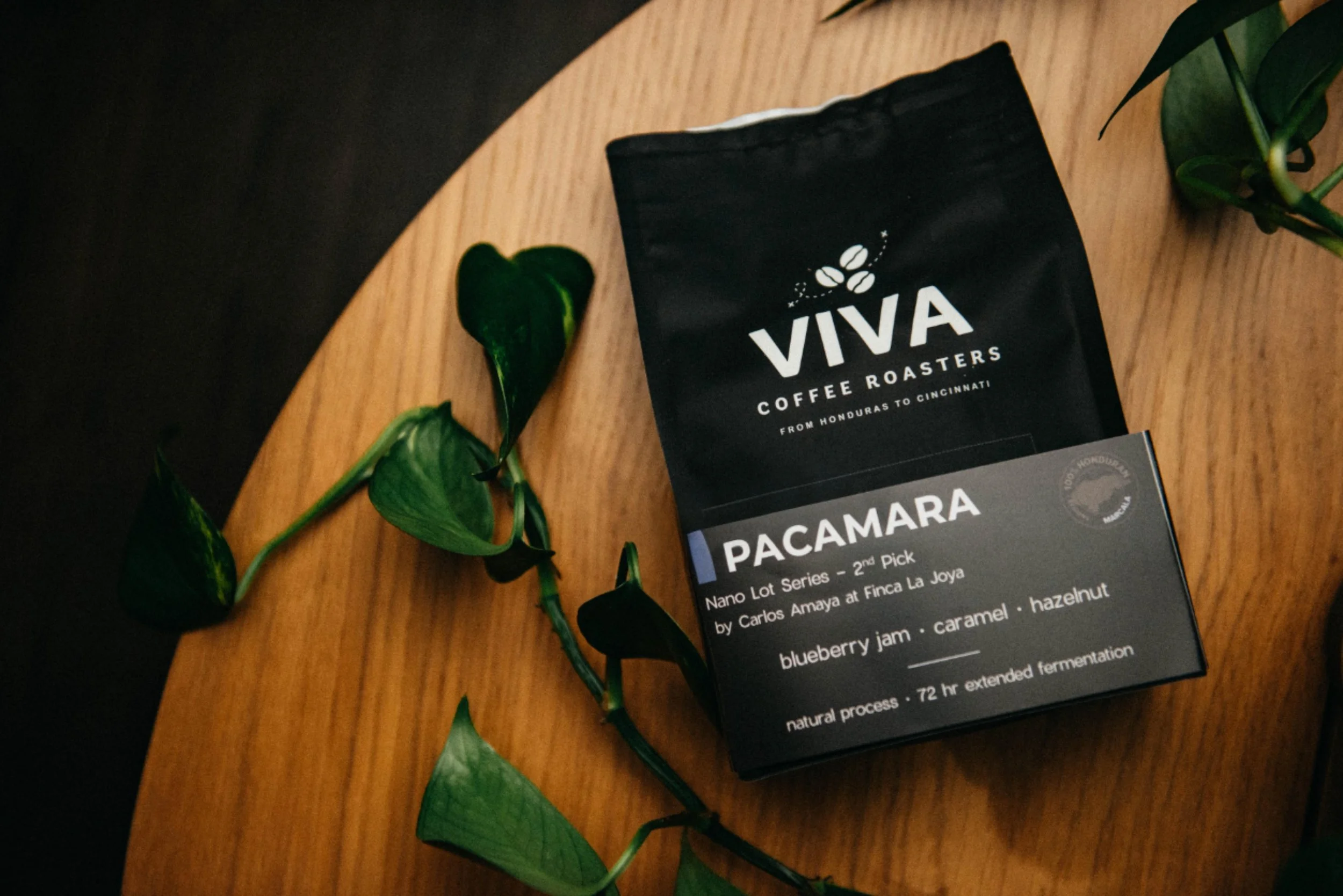Pacamara • Light (Washed)
