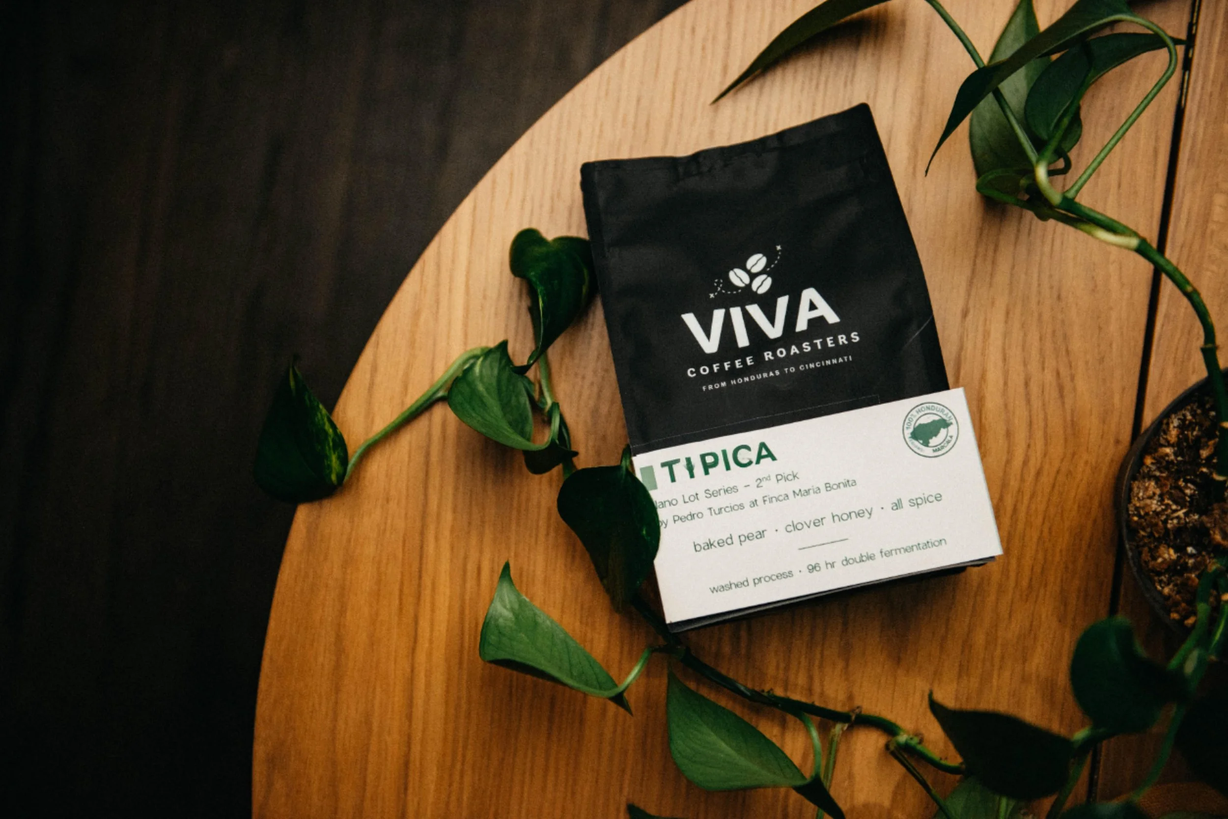 Typica • Light (Washed)