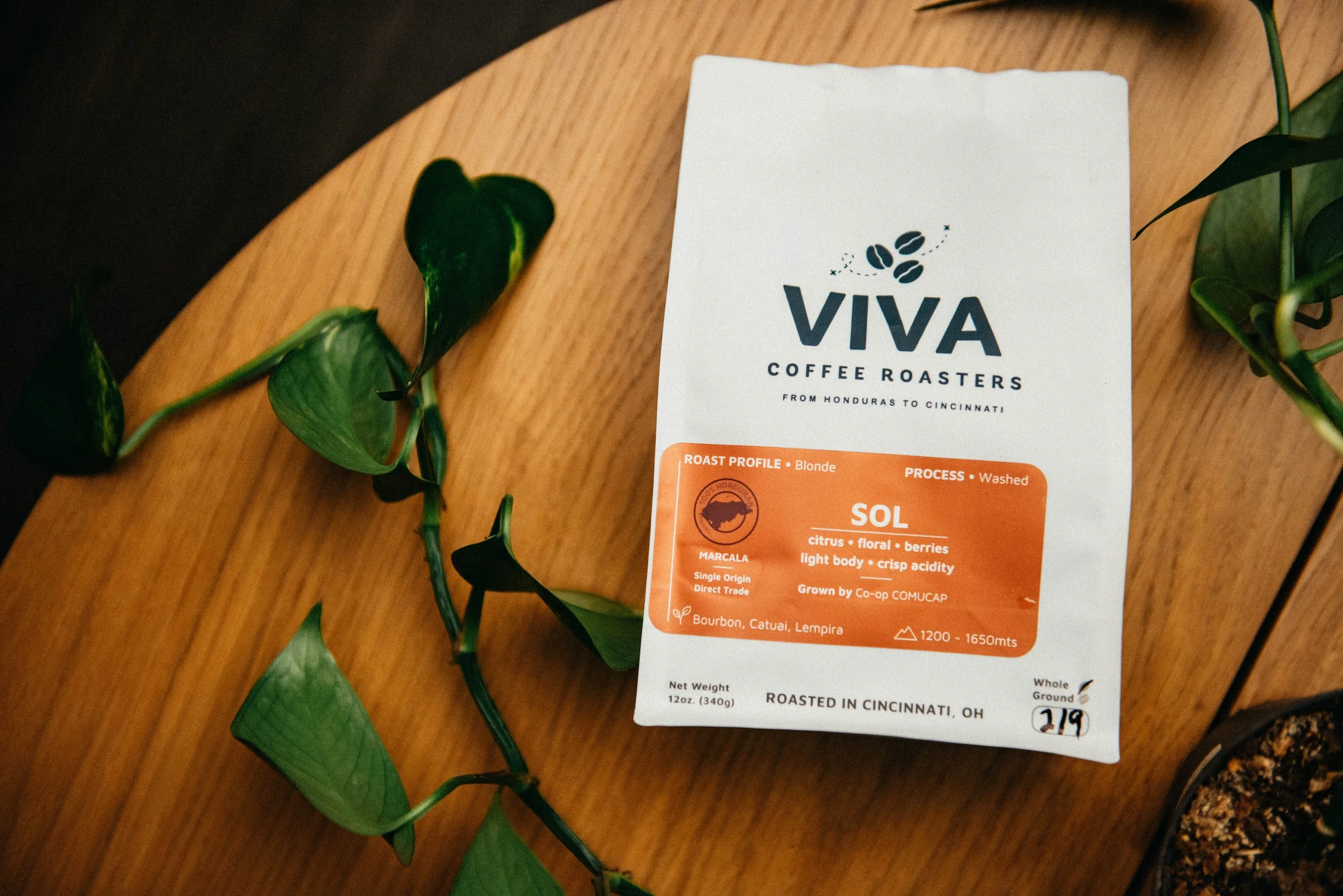 Sol • Light (Washed)