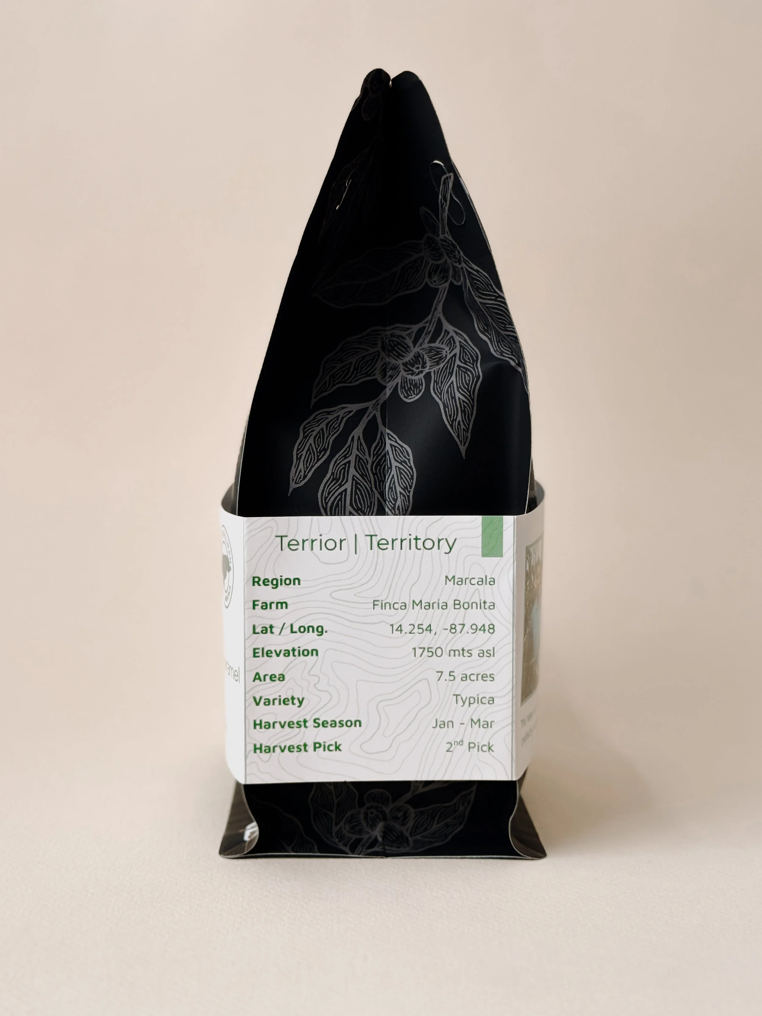 2026-09-30 - Typica Bag-3.jpg