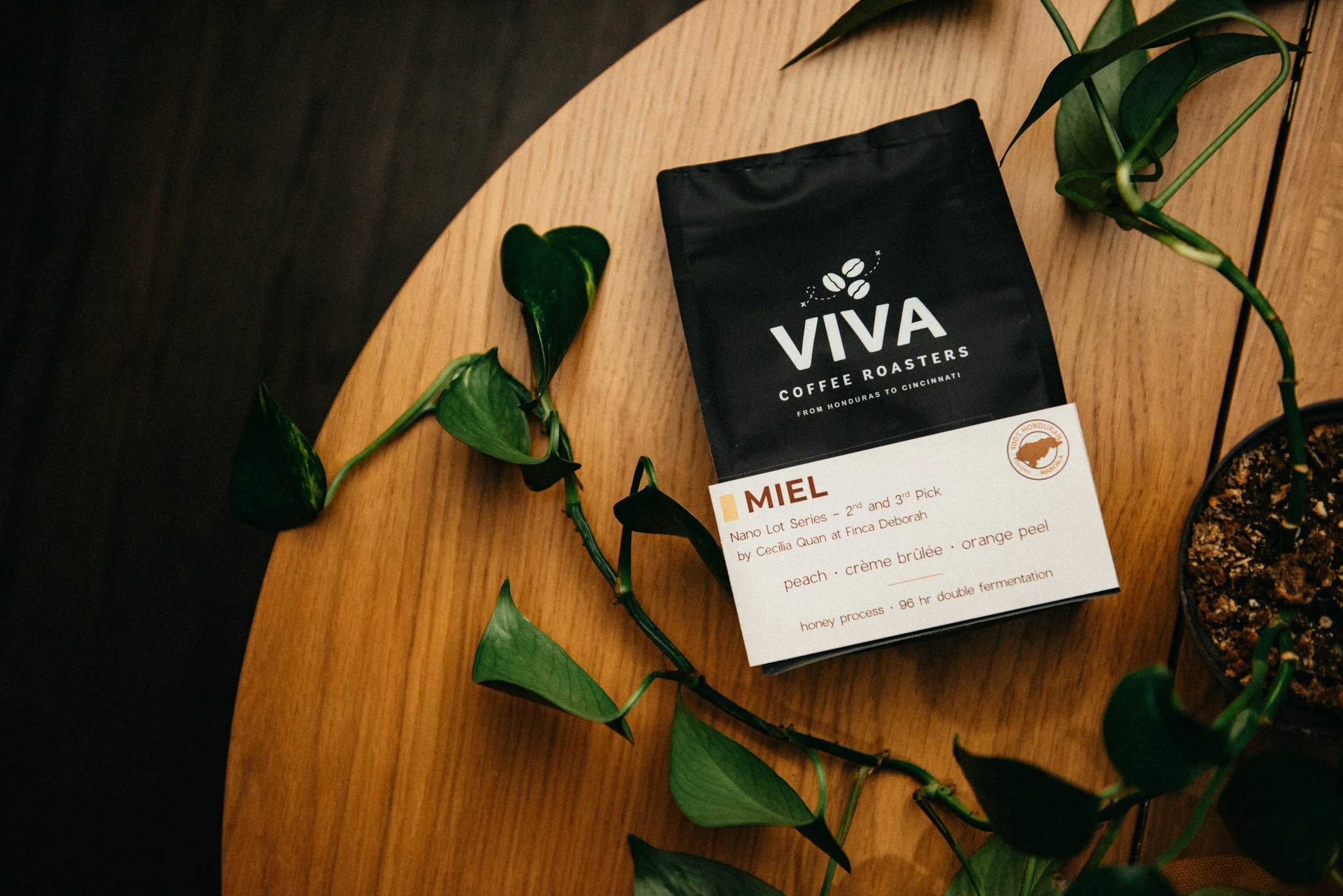 Miel • Light (Honey)