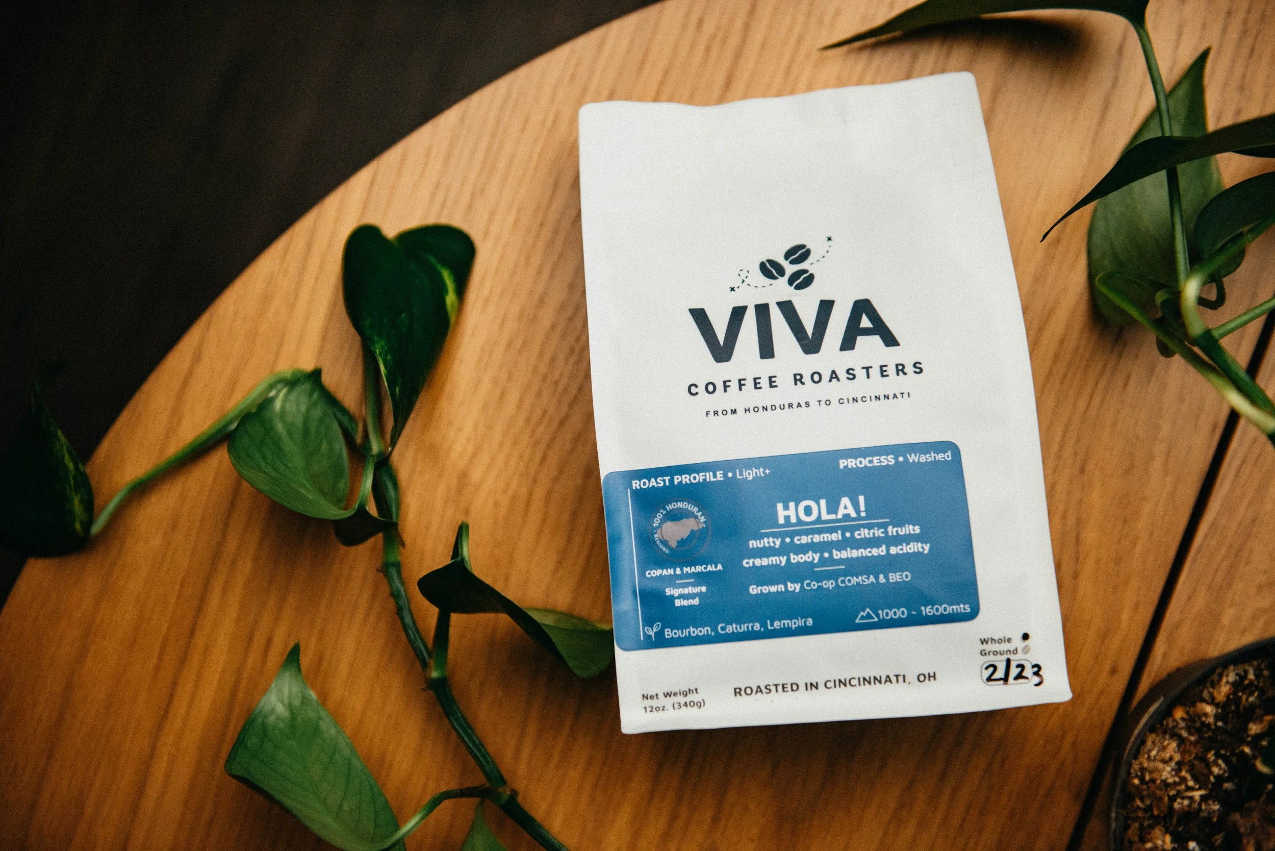 Hola • Light+ (Washed)