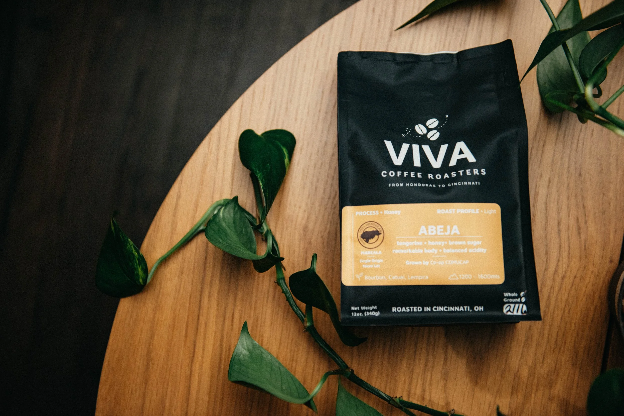 Abeja • Light (Honey)