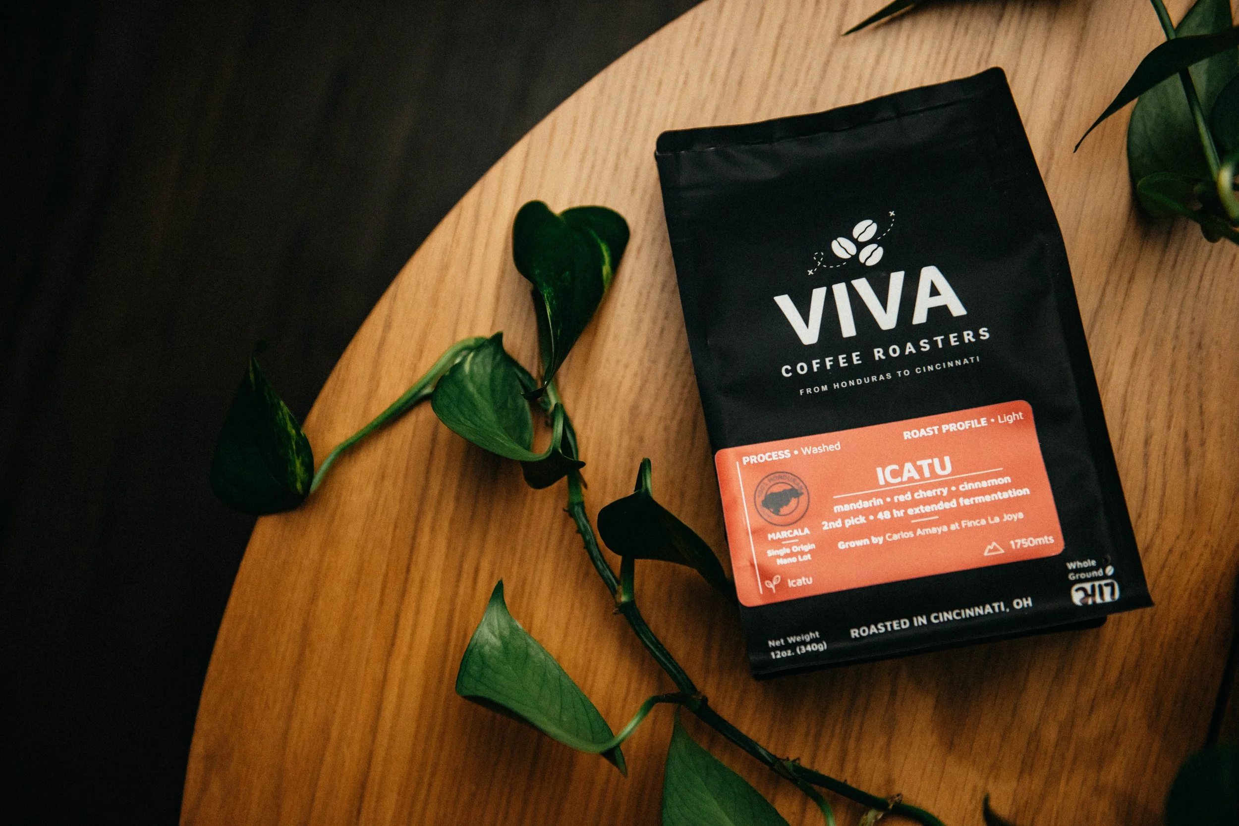 Icatu • Light (Washed)