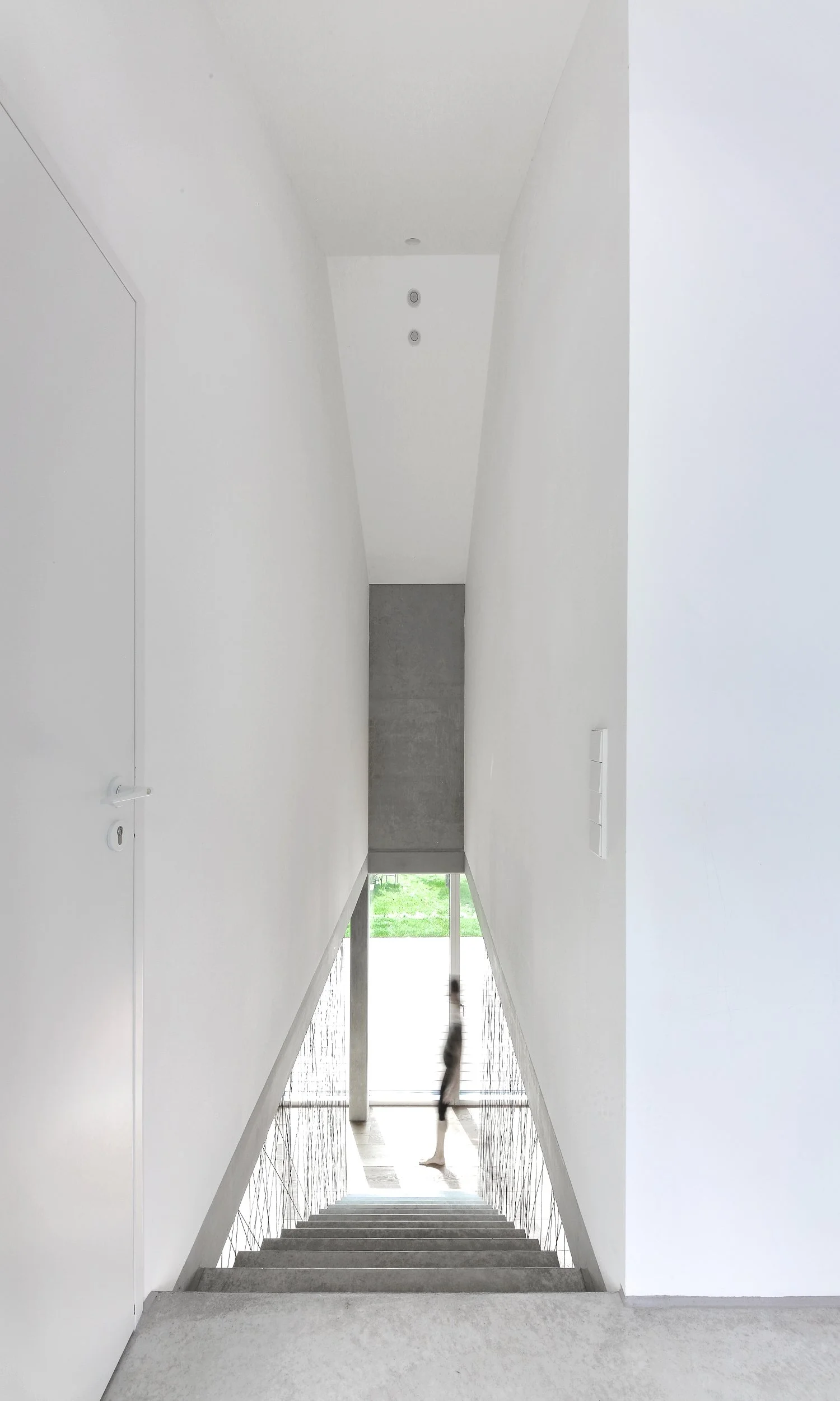 haus WÄ - Blick von oben auf eine Treppe, die nach unten führt, mit weißen Wänden und einem großen Fenster im Hintergrund. Auf der Treppe ist ein streunender Hund zu sehen, der nach oben schaut.