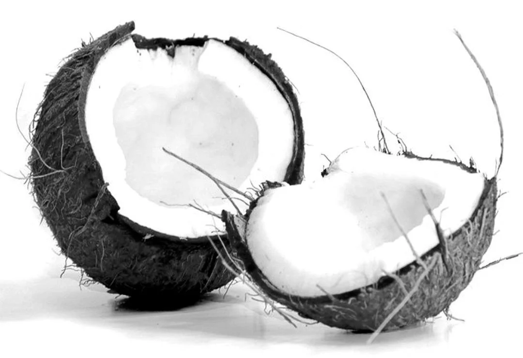 analogie.jpg