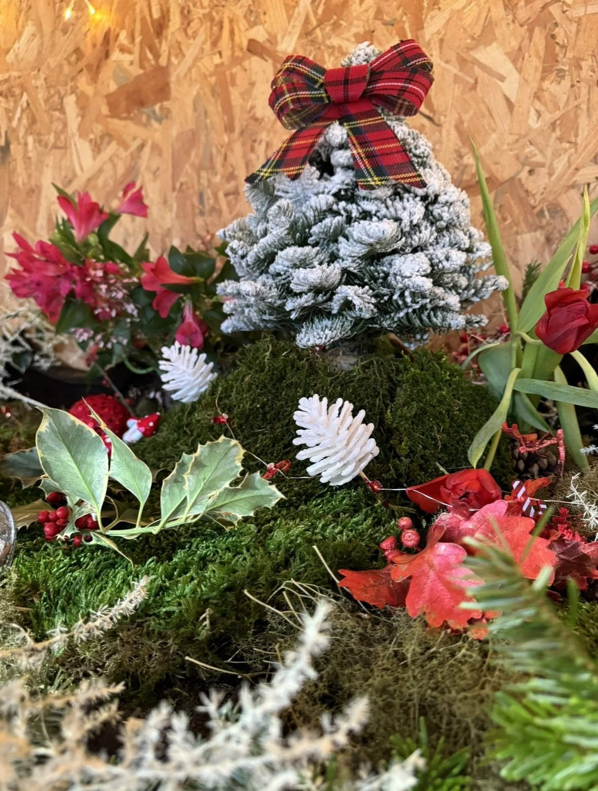 NOEL ENTREPRISE