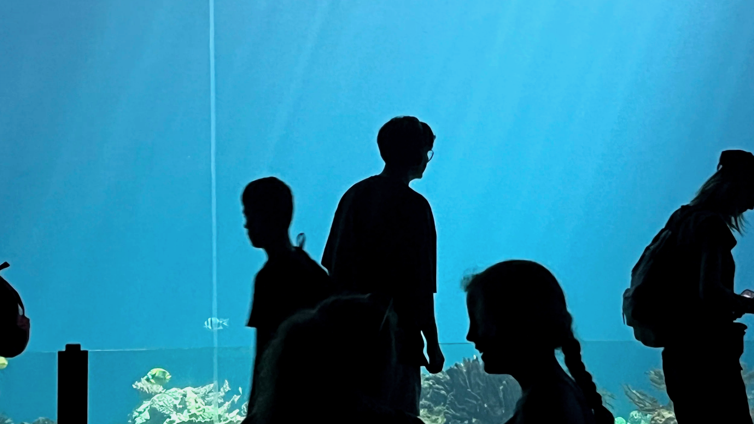 Ik wil buiten spelen