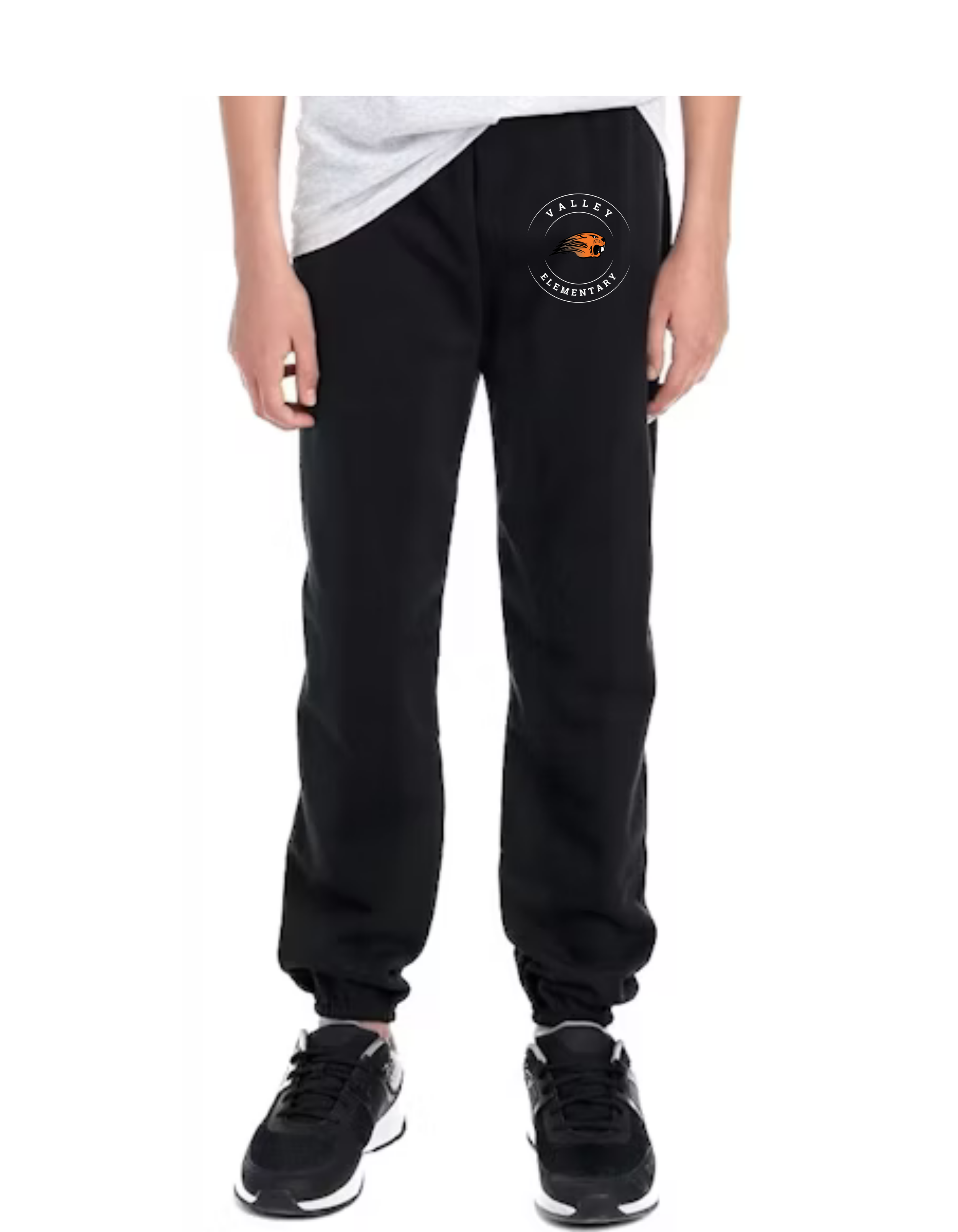 Copy of Your paragraph text (45).png