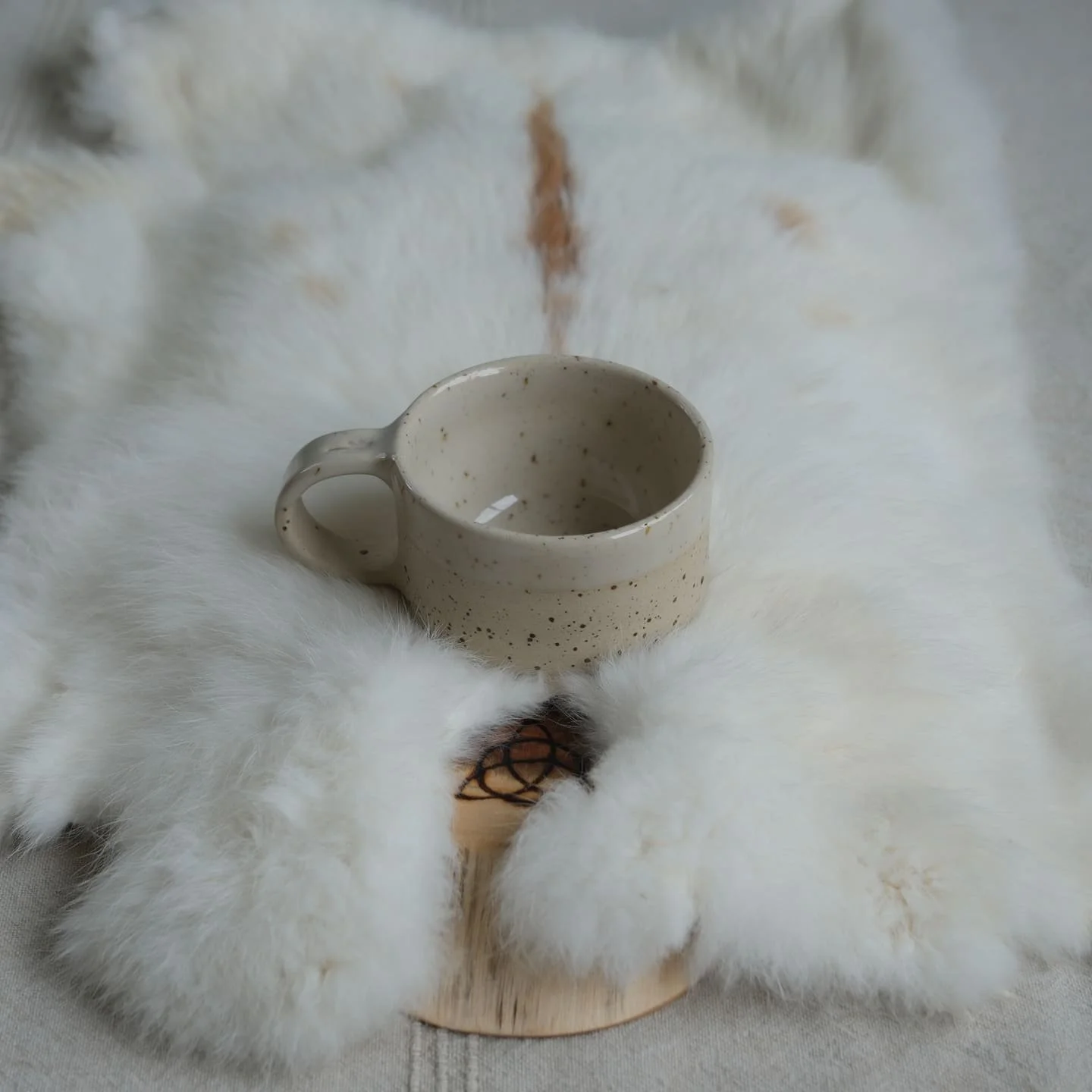 DSCF0376.jpg
