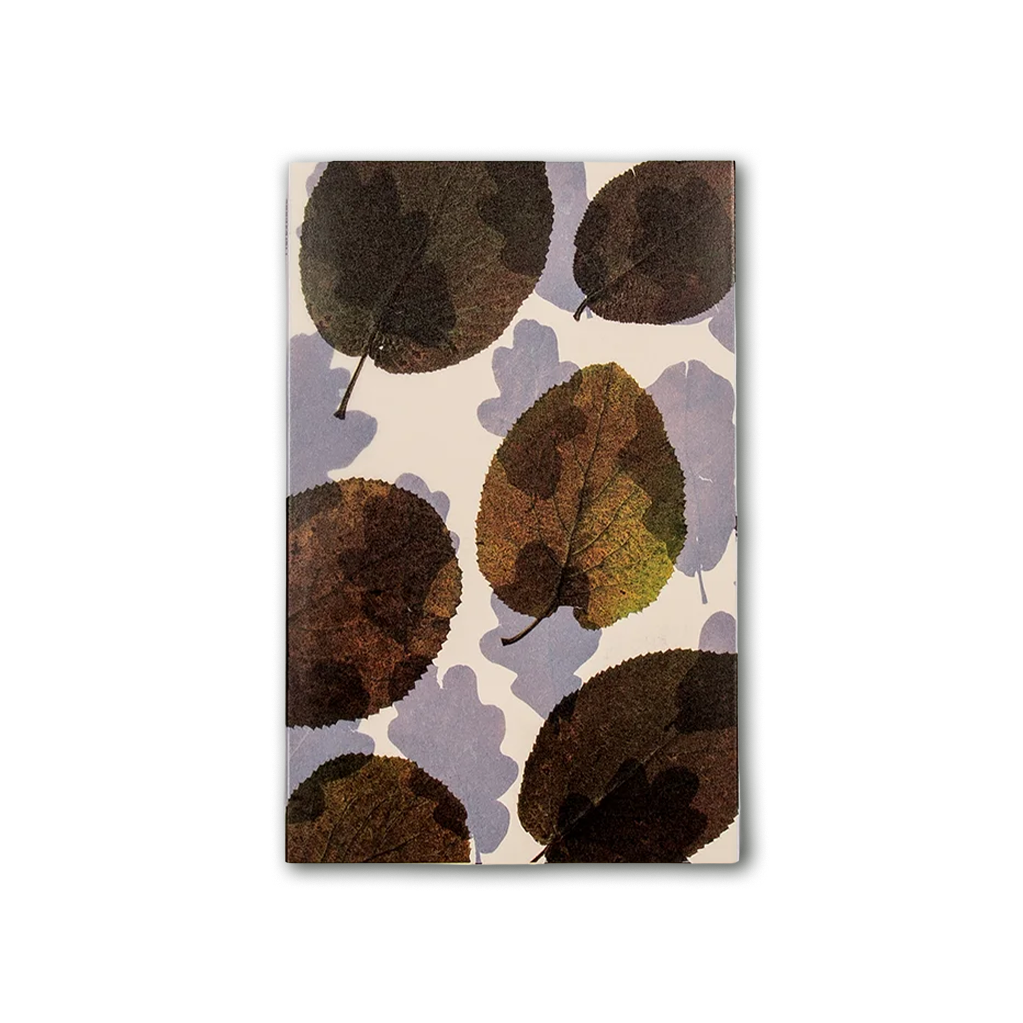 Herbstlaub.png