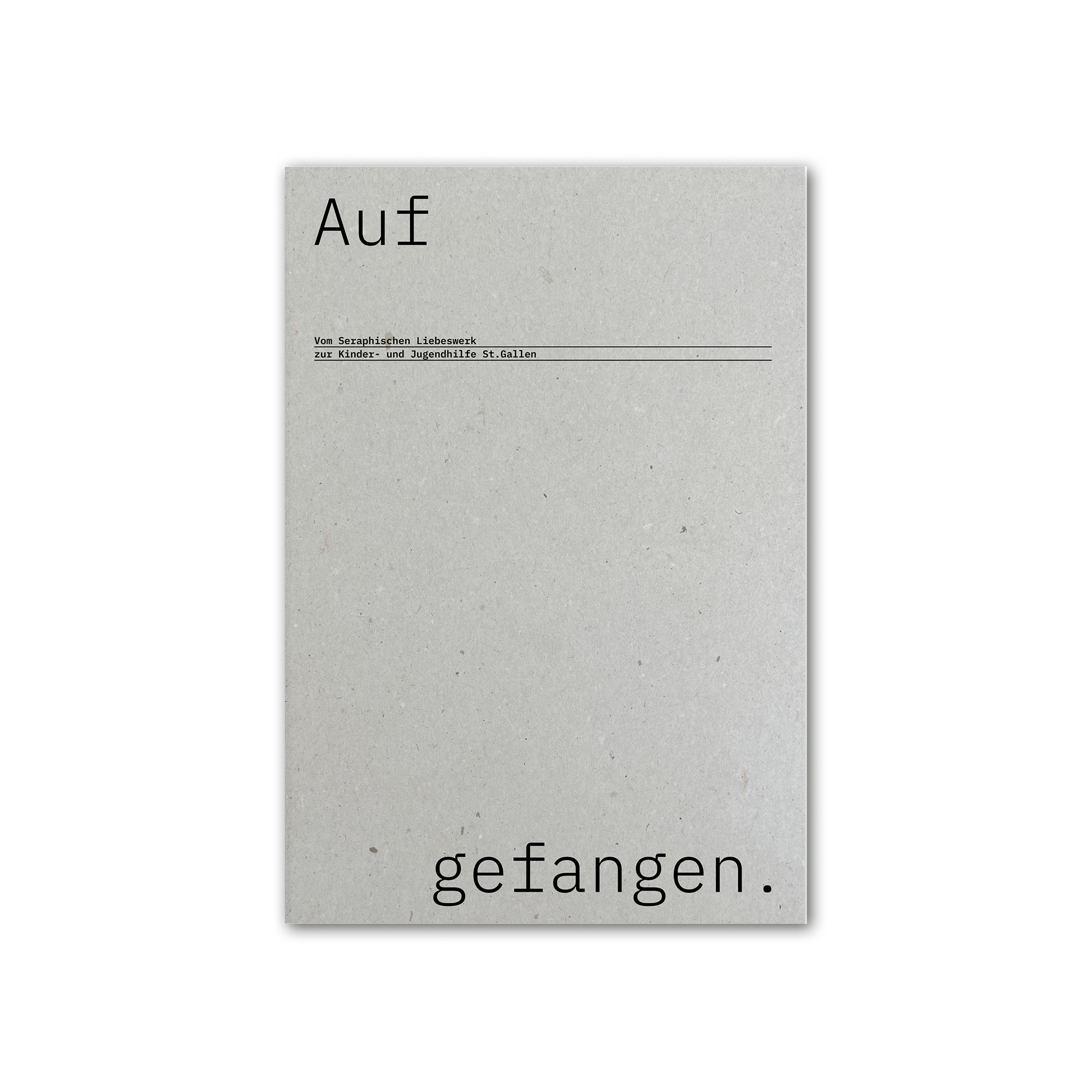 Aufgefangen – Kinder- und Jugendhilfe St. Gallen