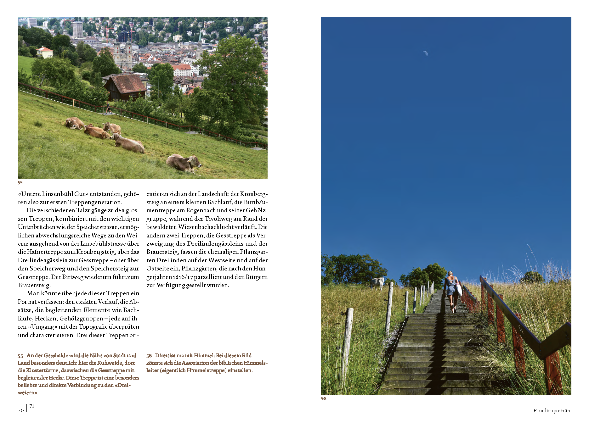 Treppenlandschaft8.png