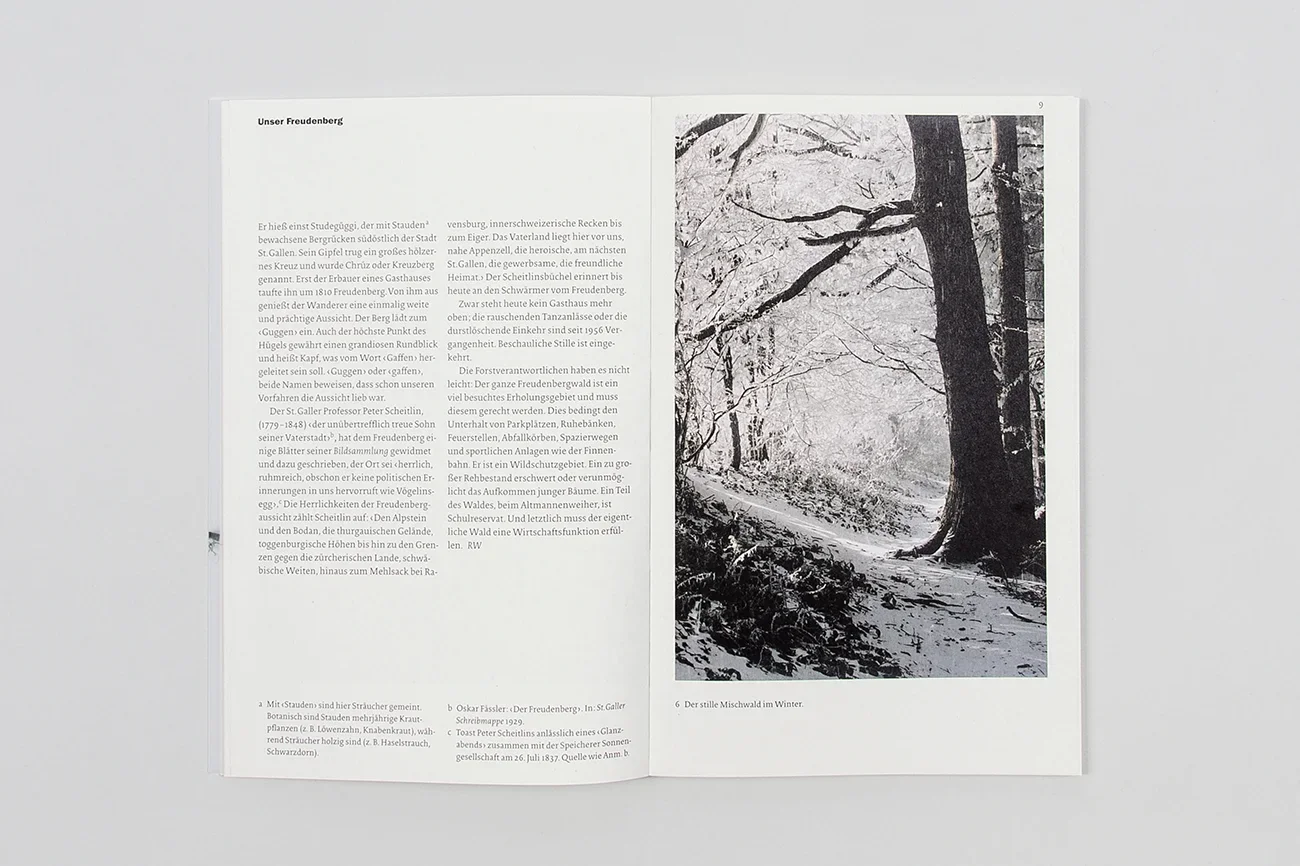 Im_Freudenbergwald_0001.webp