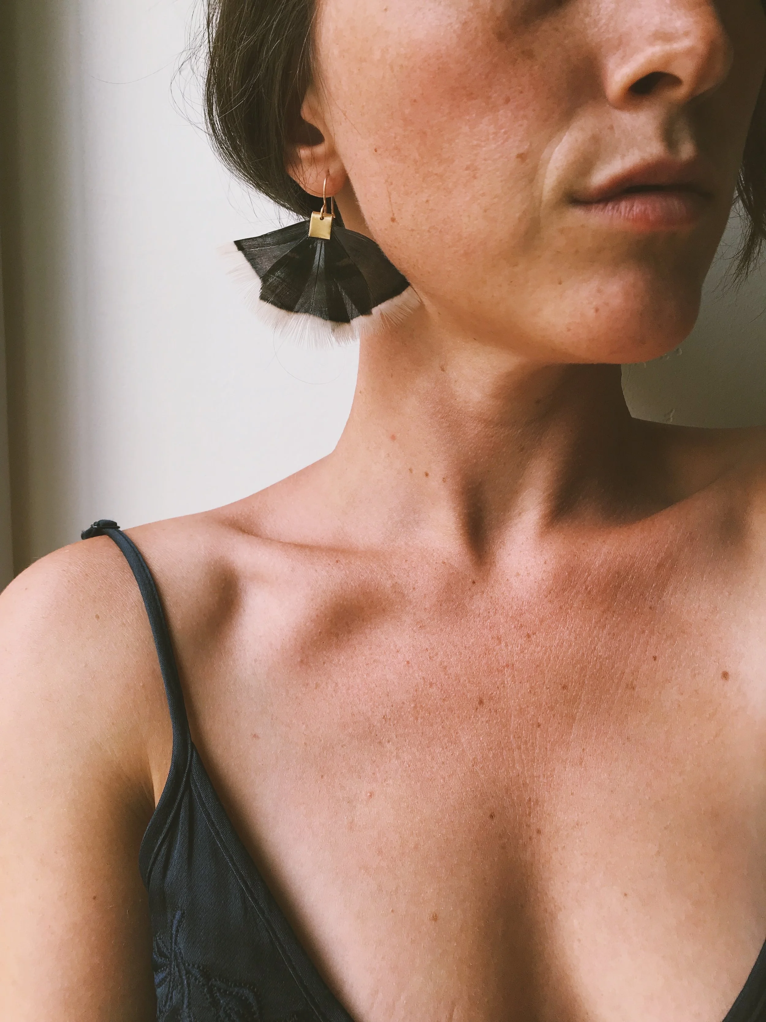 Turkey feathers with brass, 2018