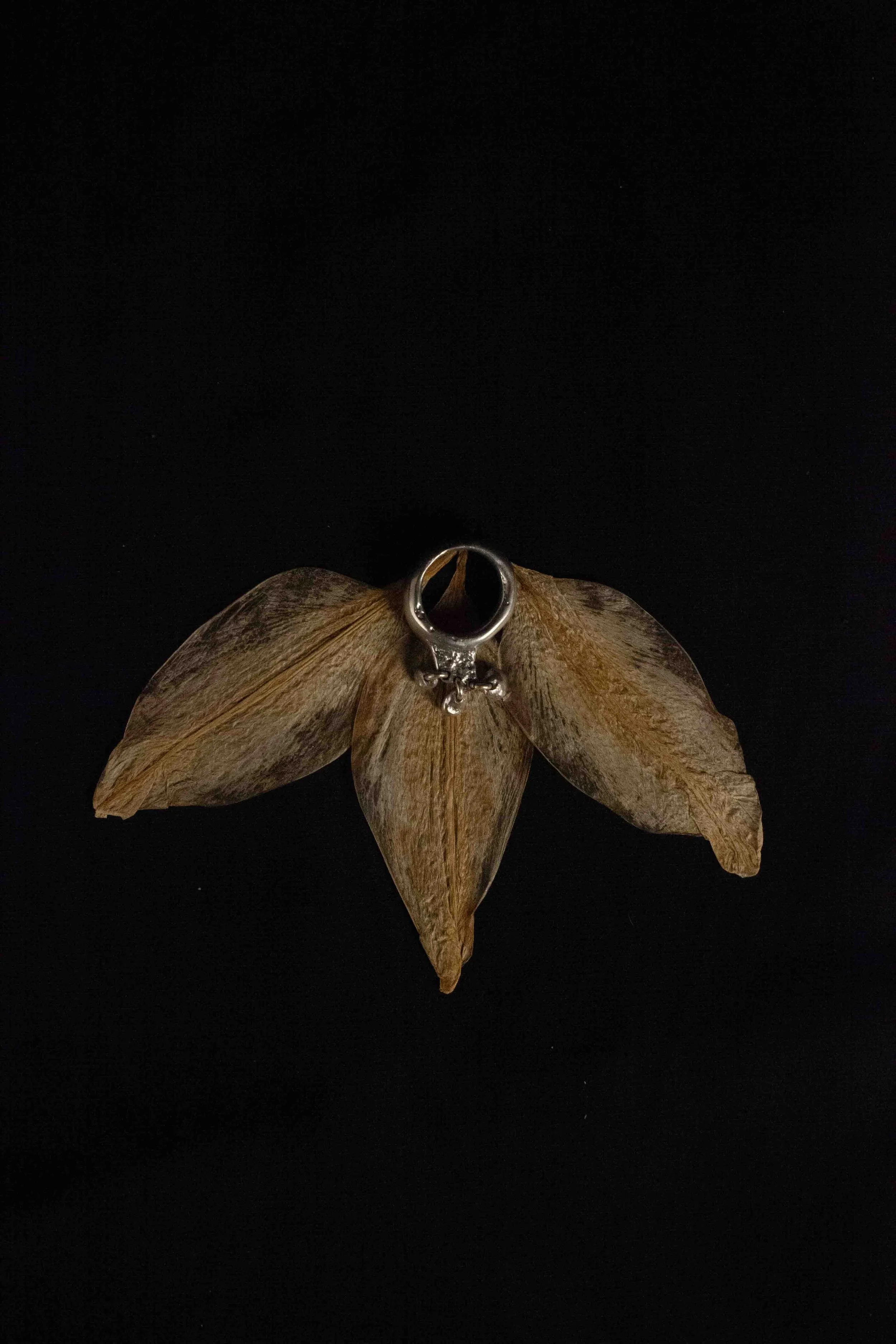 Suspended Spill Ring