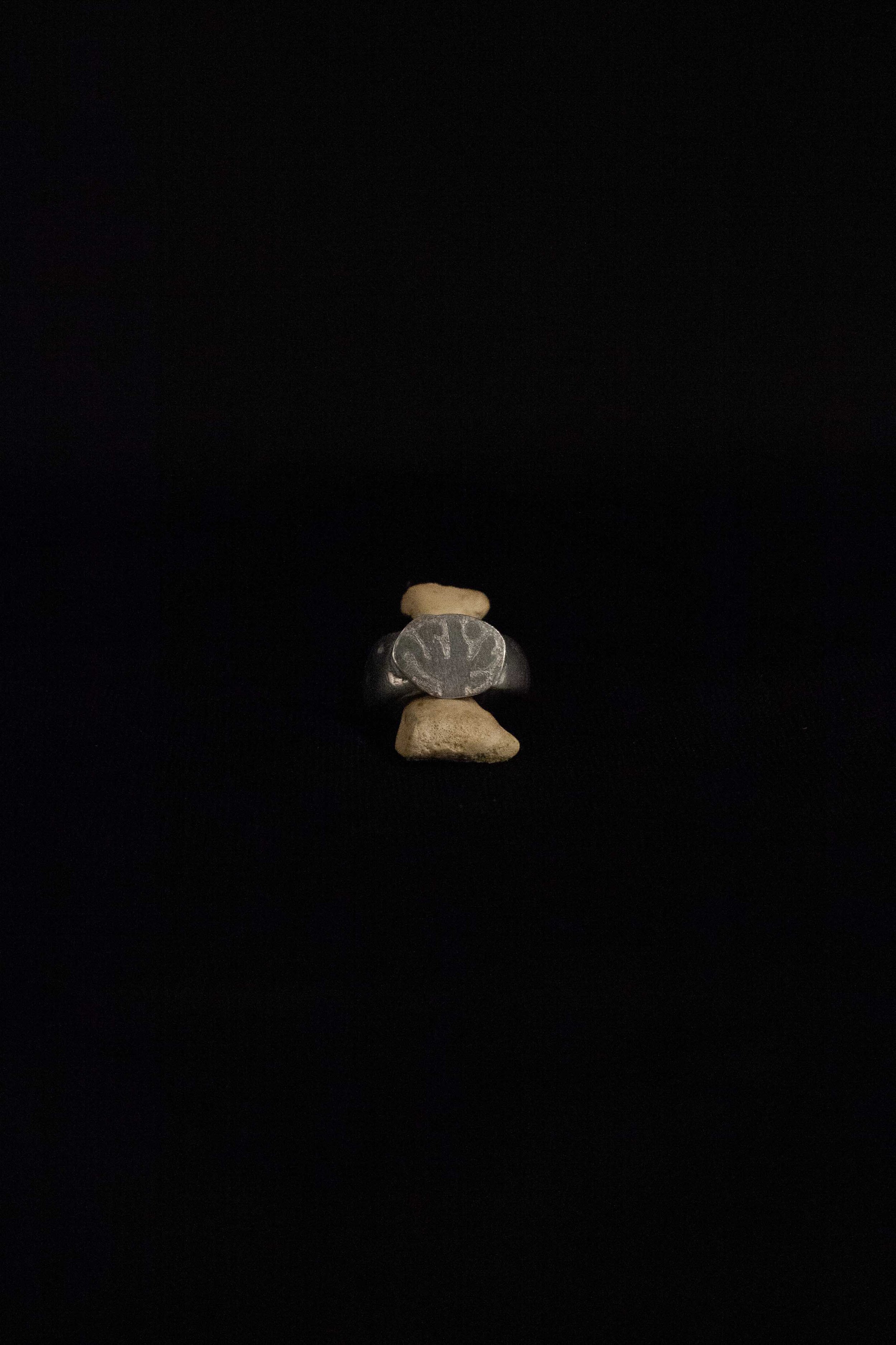 Desert Scape Signet Ring