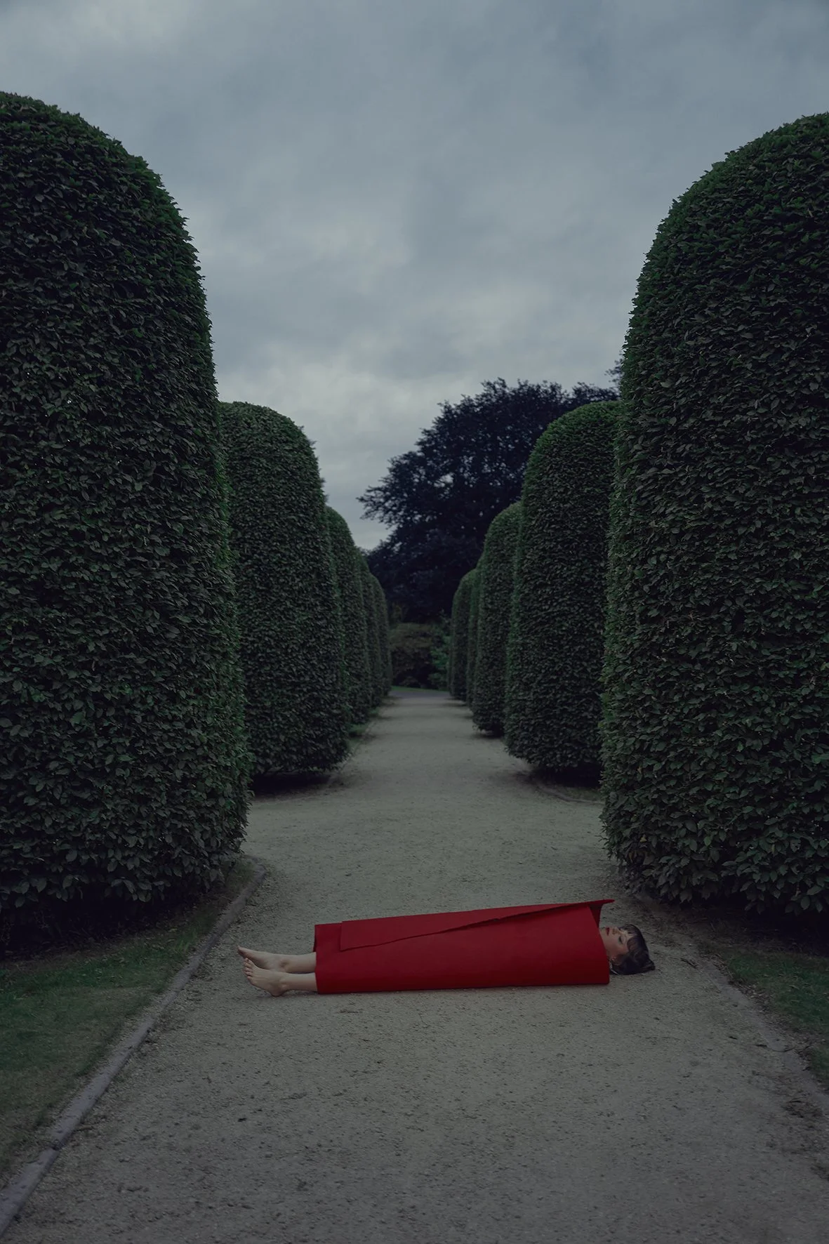 Copy of L1070772_final copy.jpg