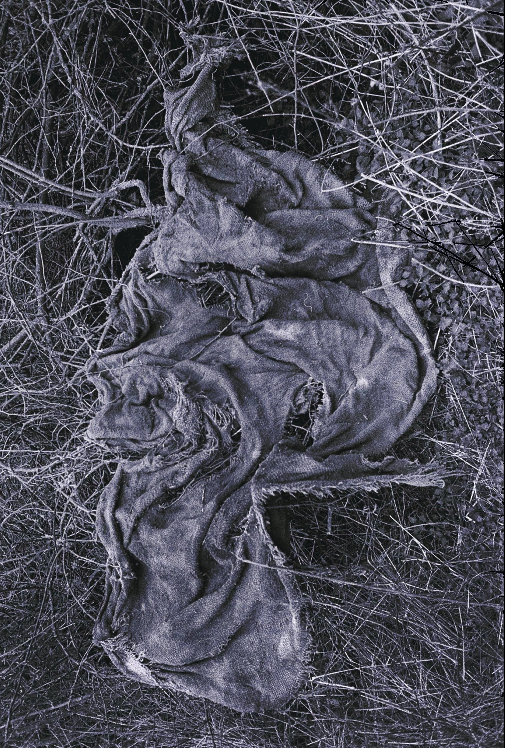 Bet_Orten_Self mythology_BUSHES.jpg