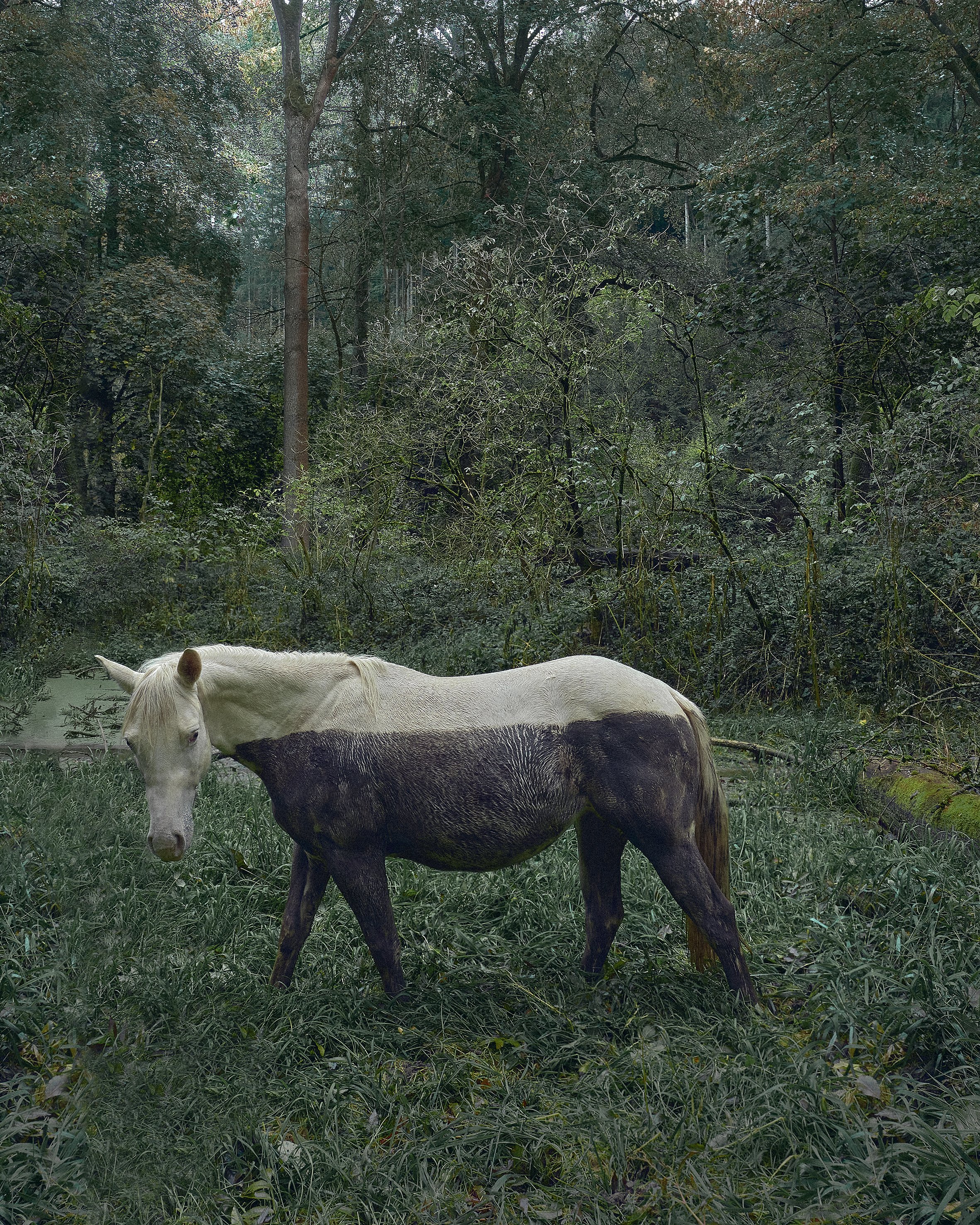 L1240839_retuš_02_KRIS FIX copy.jpg