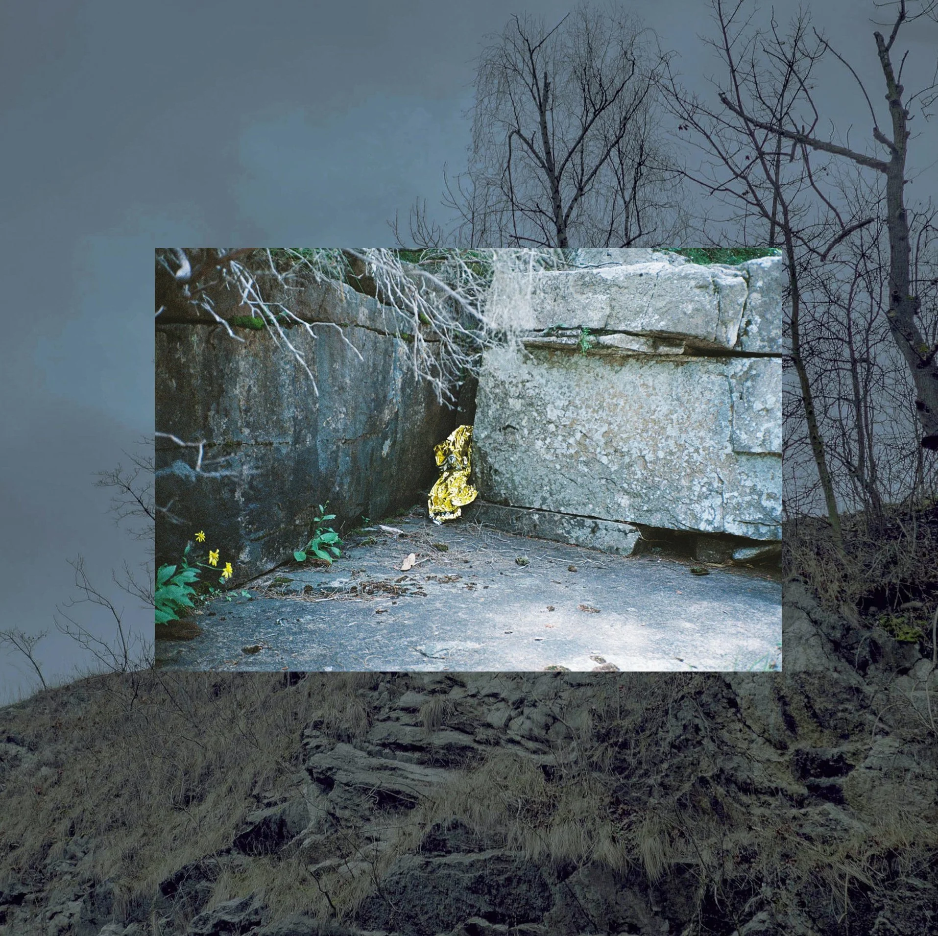 Bet_Orten_Self mythology_DIMENSIONS.jpg