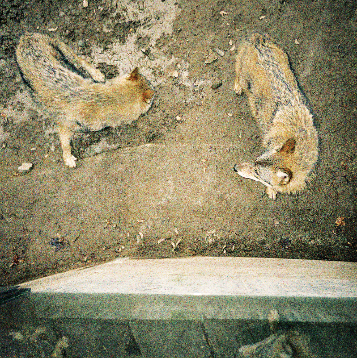 Screenshot 2026-02-05 at 18.00.26.png