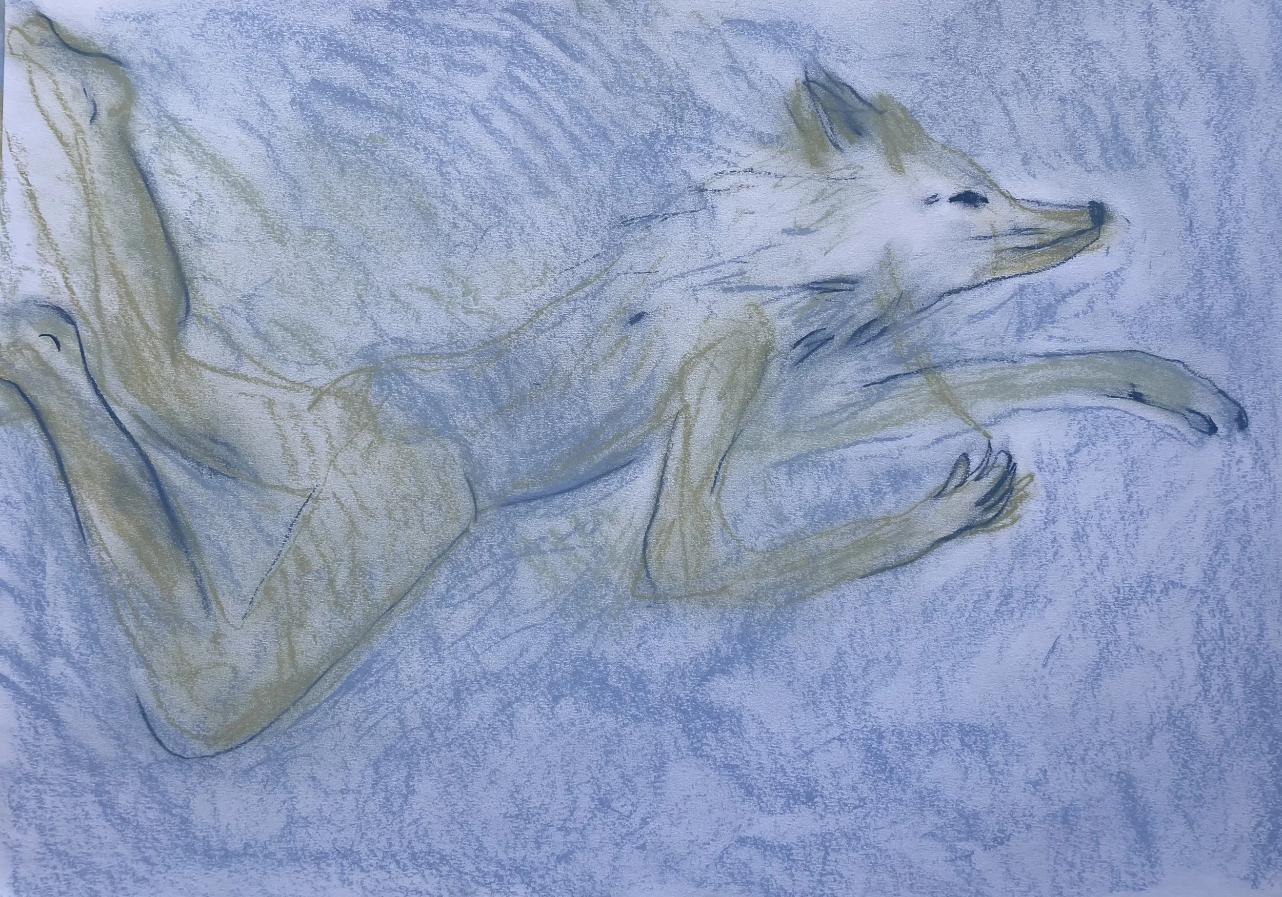 Wolf Girl character sketch Sarah Courtauld.jpg