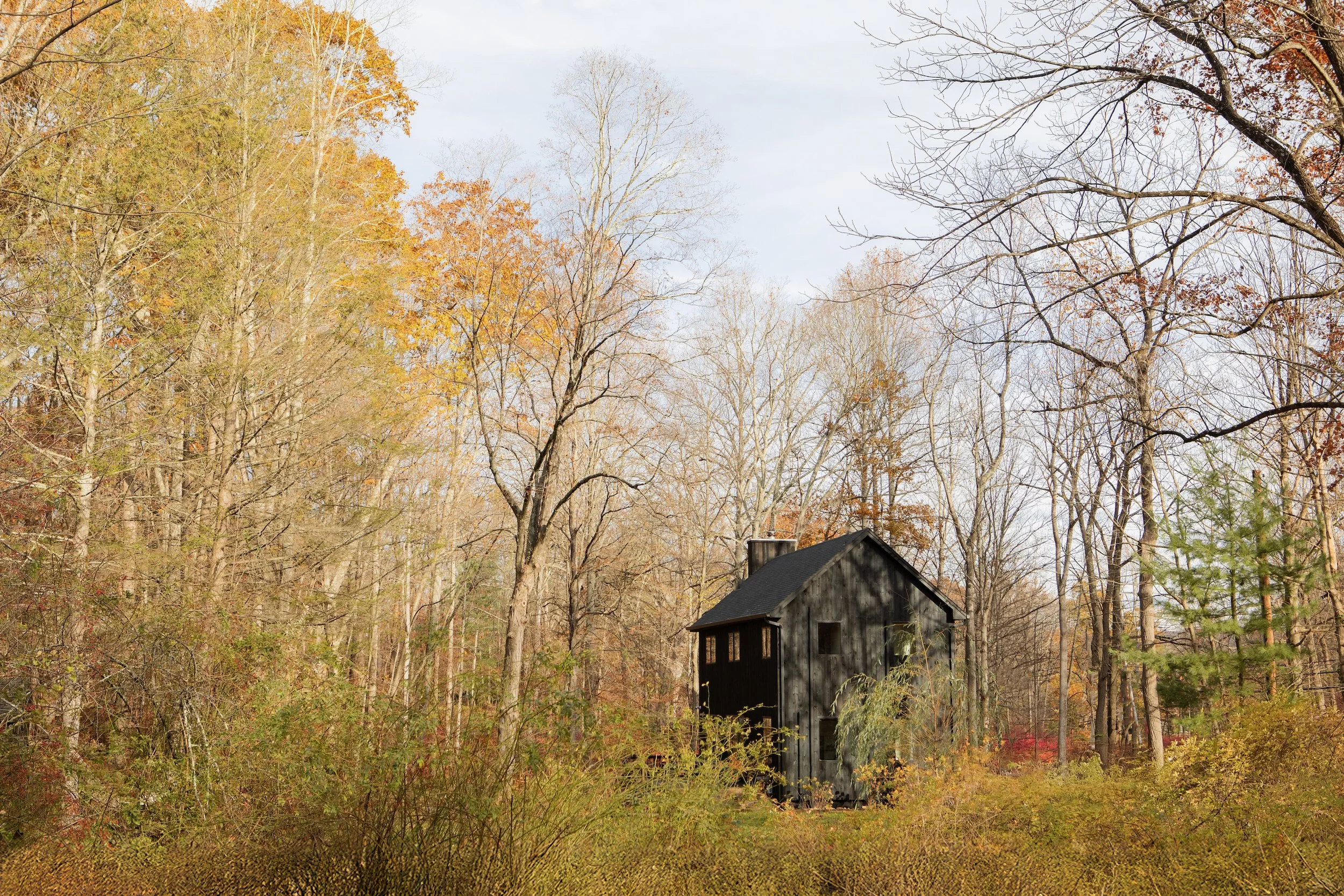 Patterson Sothebys - 36.jpeg