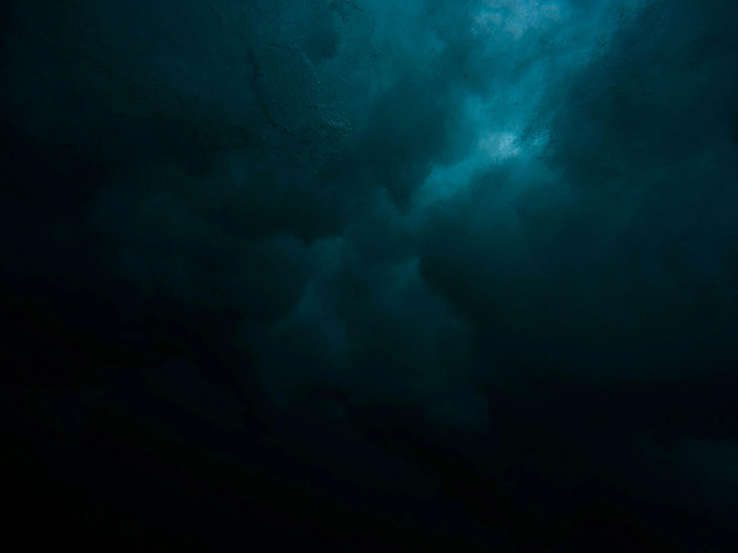 cloud-like background in dark teal