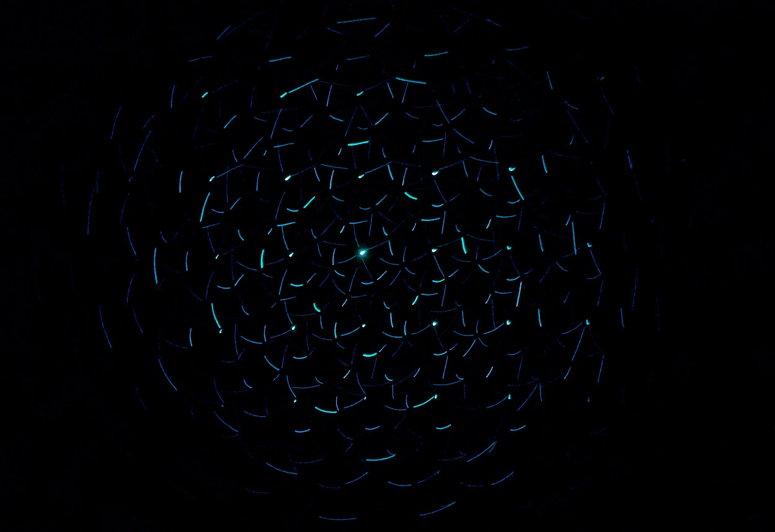 globe designed in strokes and dashes on a dark background