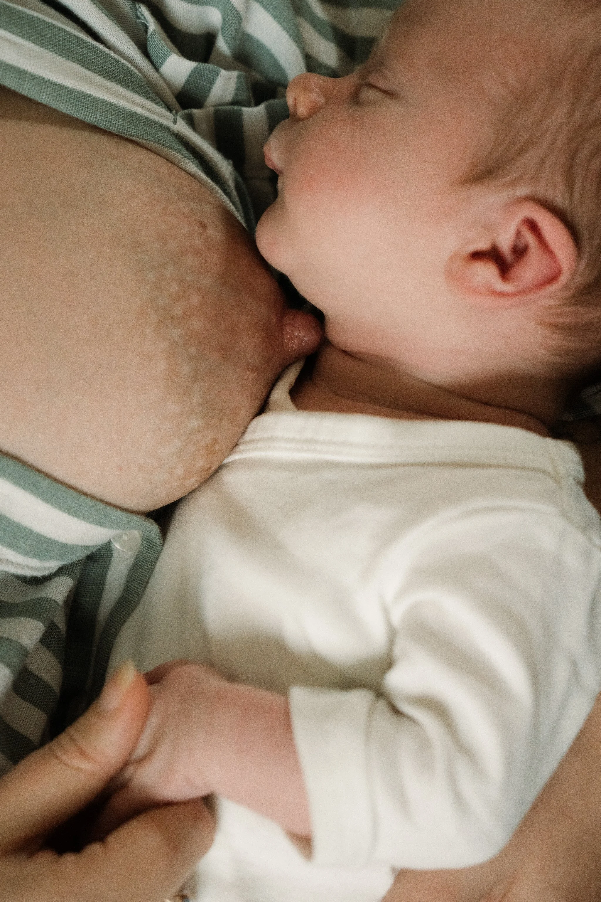 Reportage photo famille, naissance, grossesse Lyon