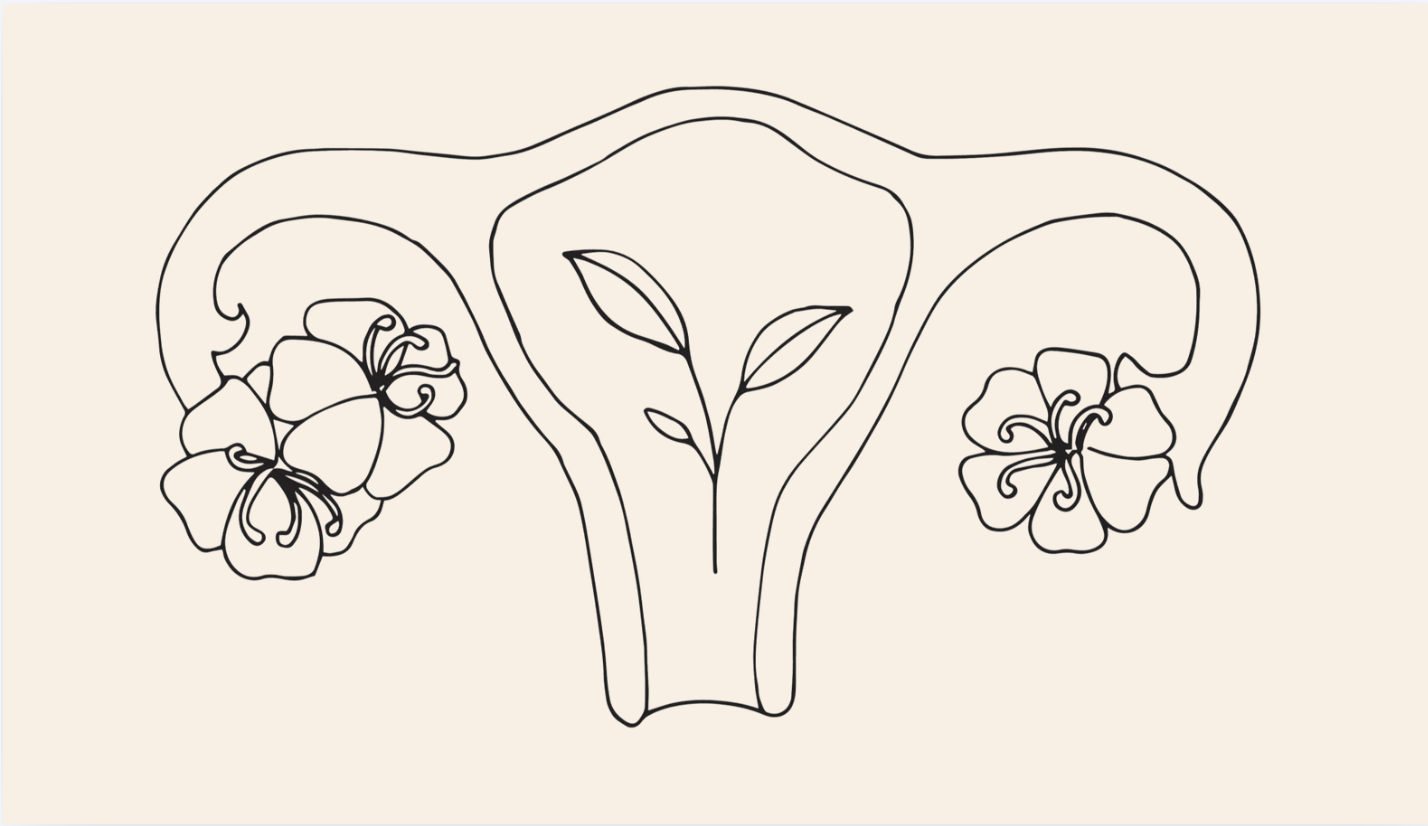 Supplements That Truly Support PCOS