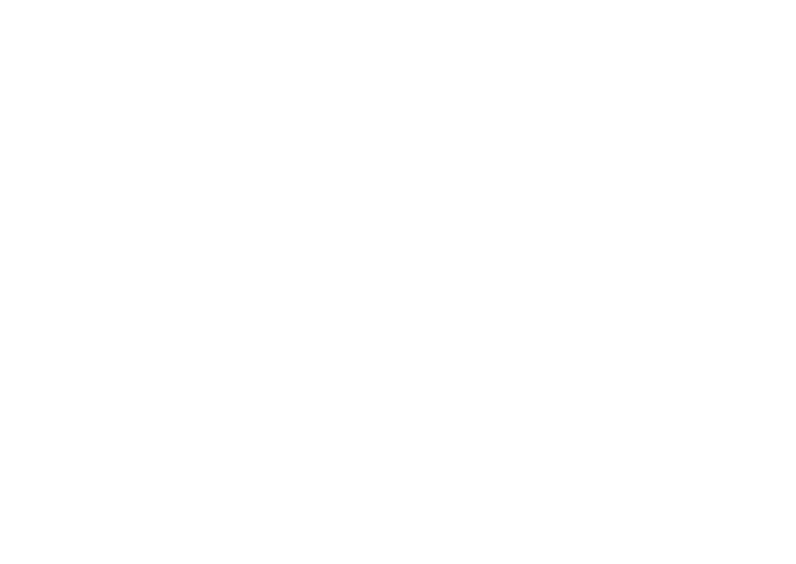 Silhouette of a van seen from the front