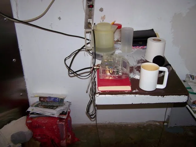 This is what an individual cell looks like.