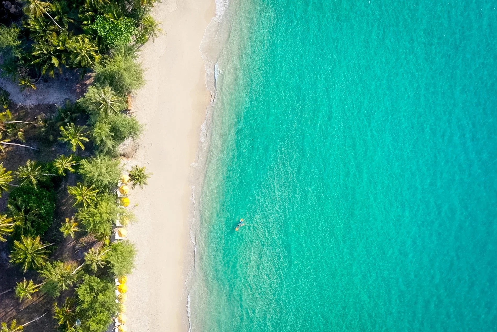 Aerial view of a tropical beach with white sand, clear turquoise water, and a lush green forest with palm trees.