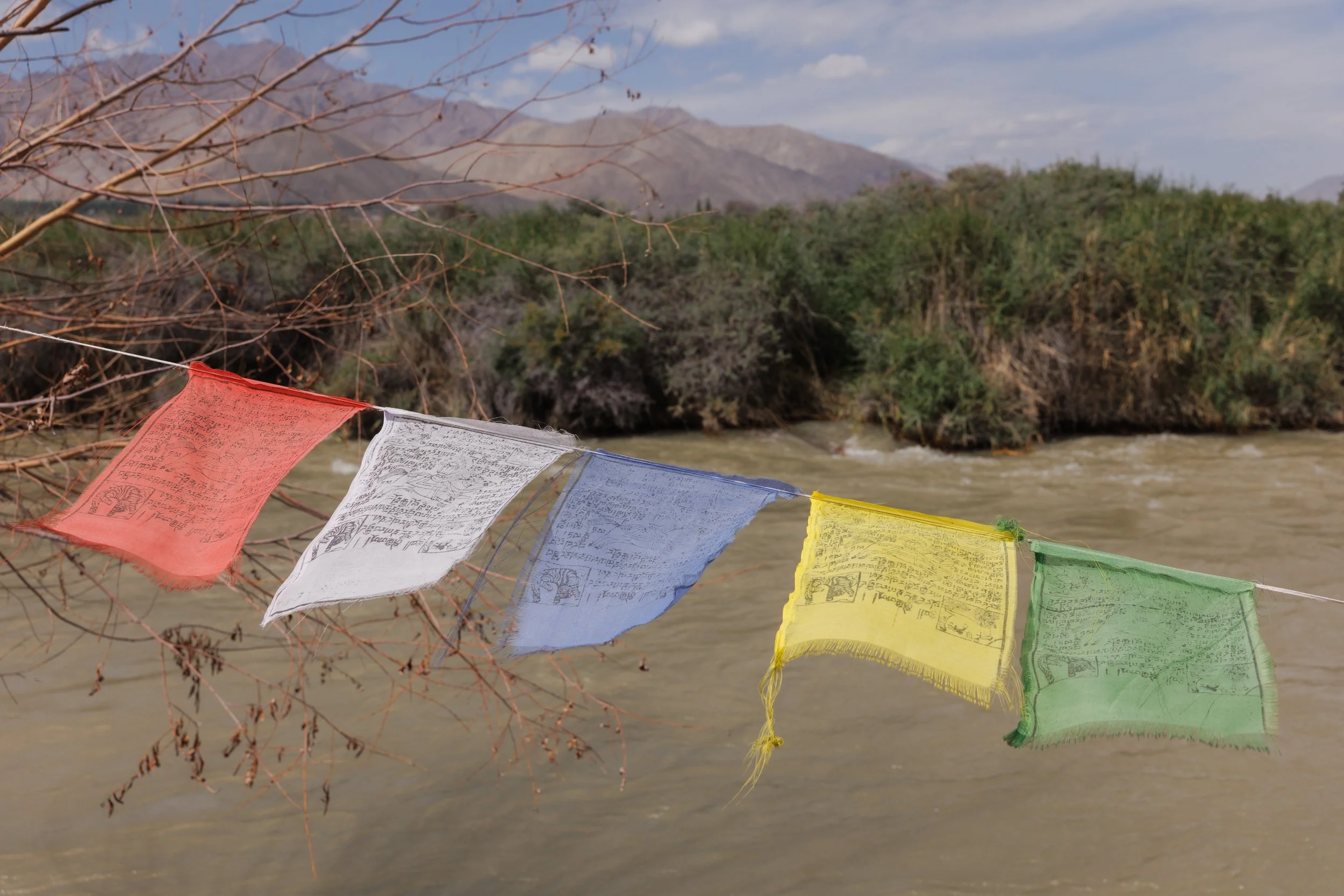 ladakh-7.jpg