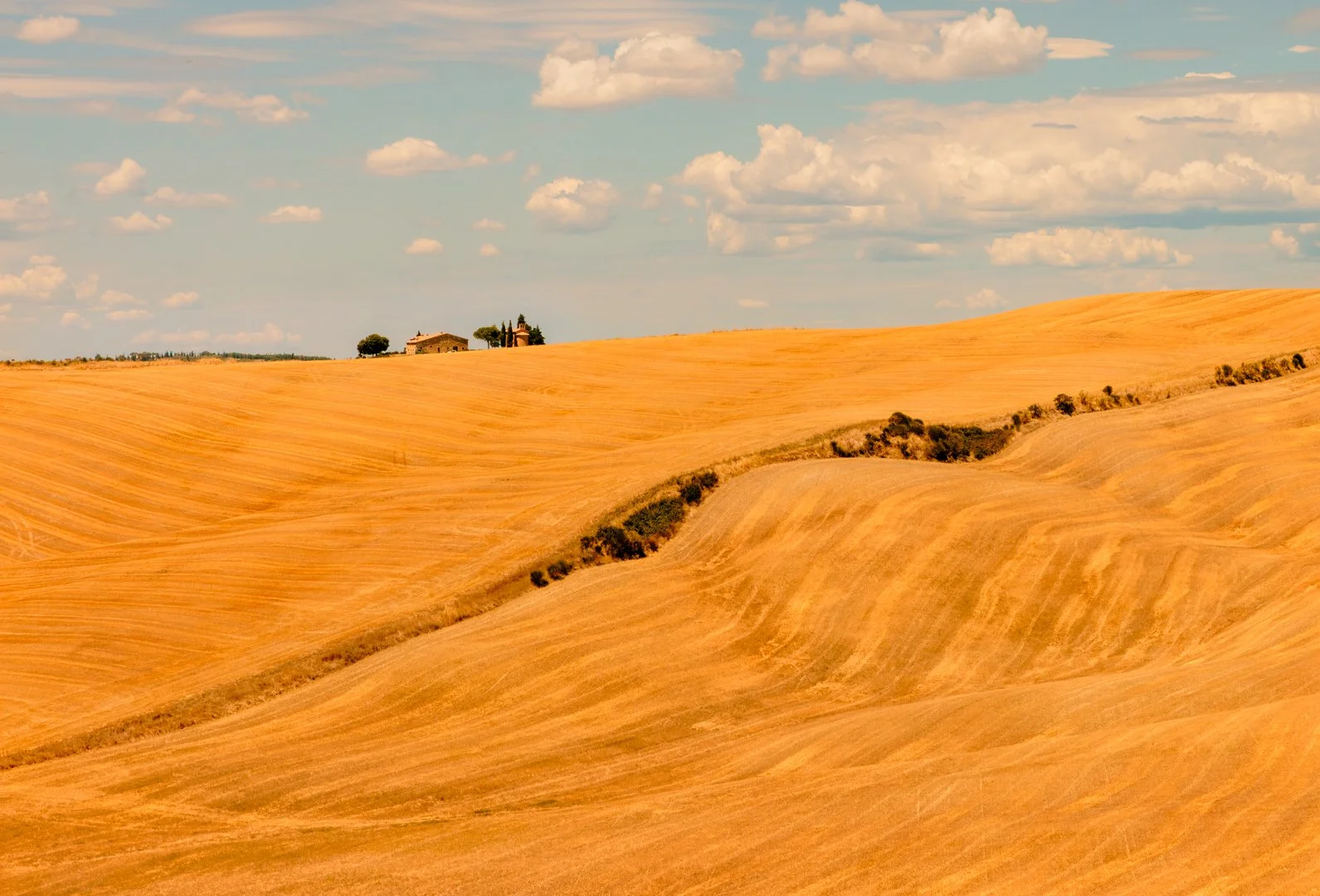 After the harvest.jpg